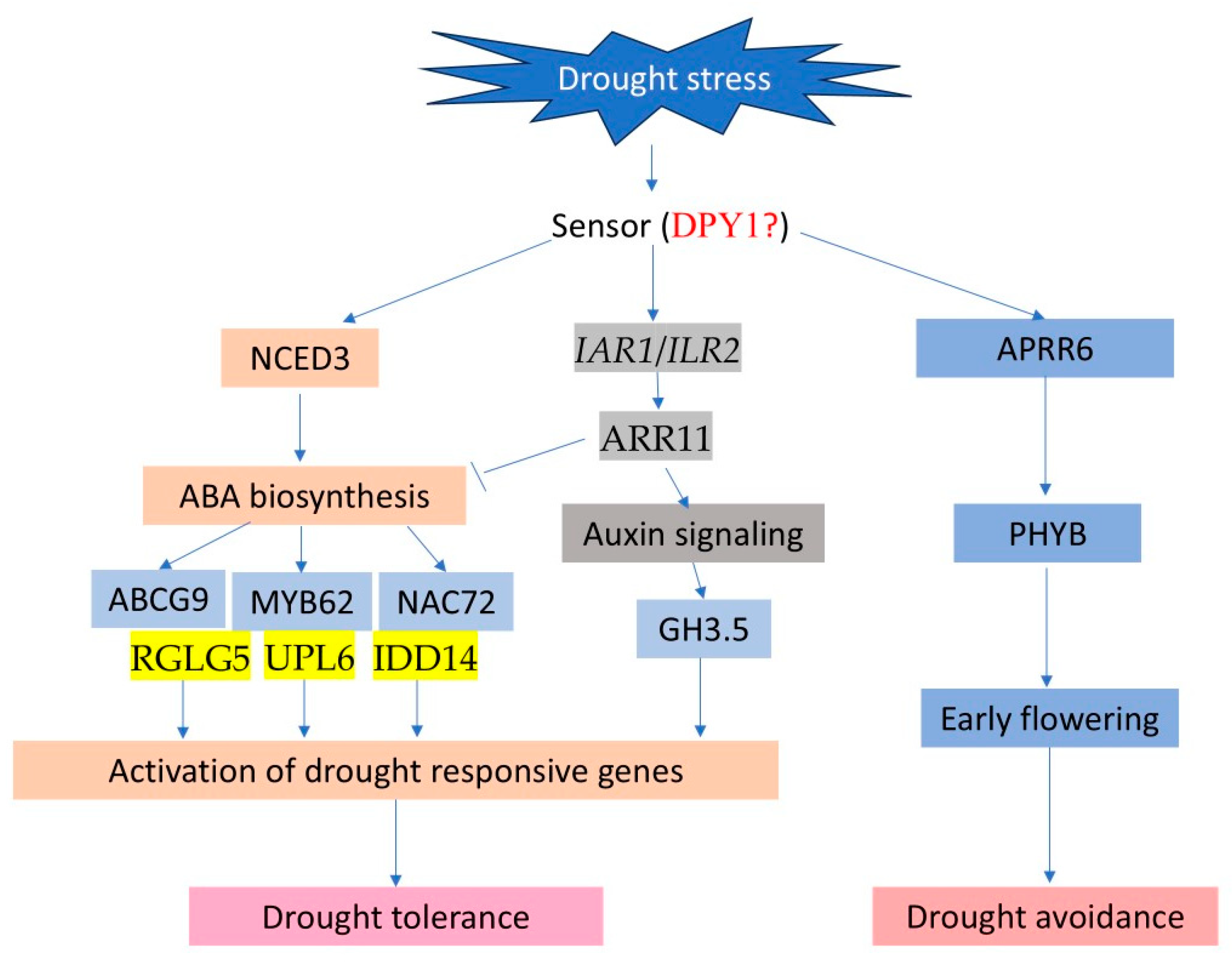 Plants 13 03296 g008
