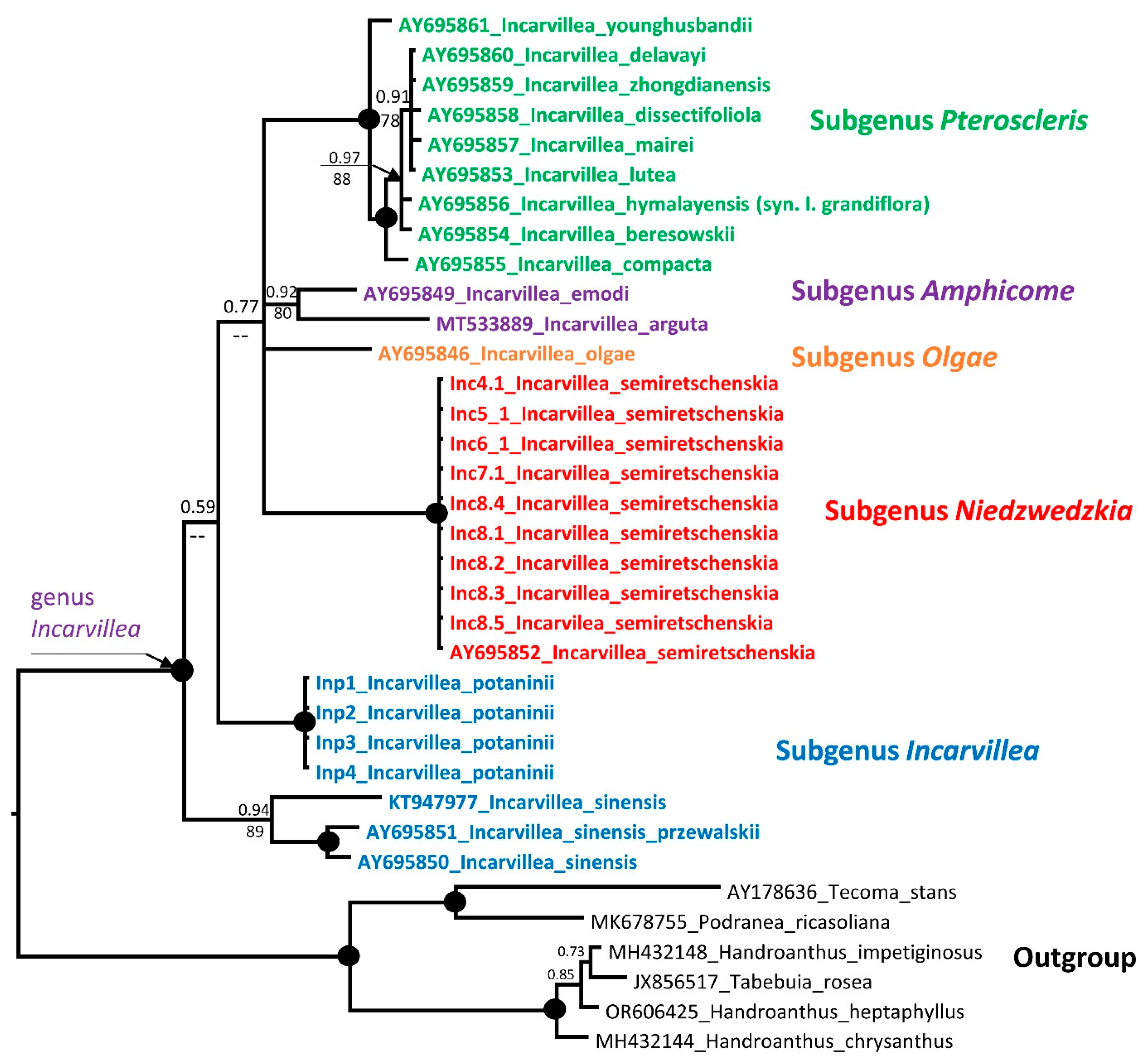 Plants 13 03299 g004 Plants 13 03299 g004