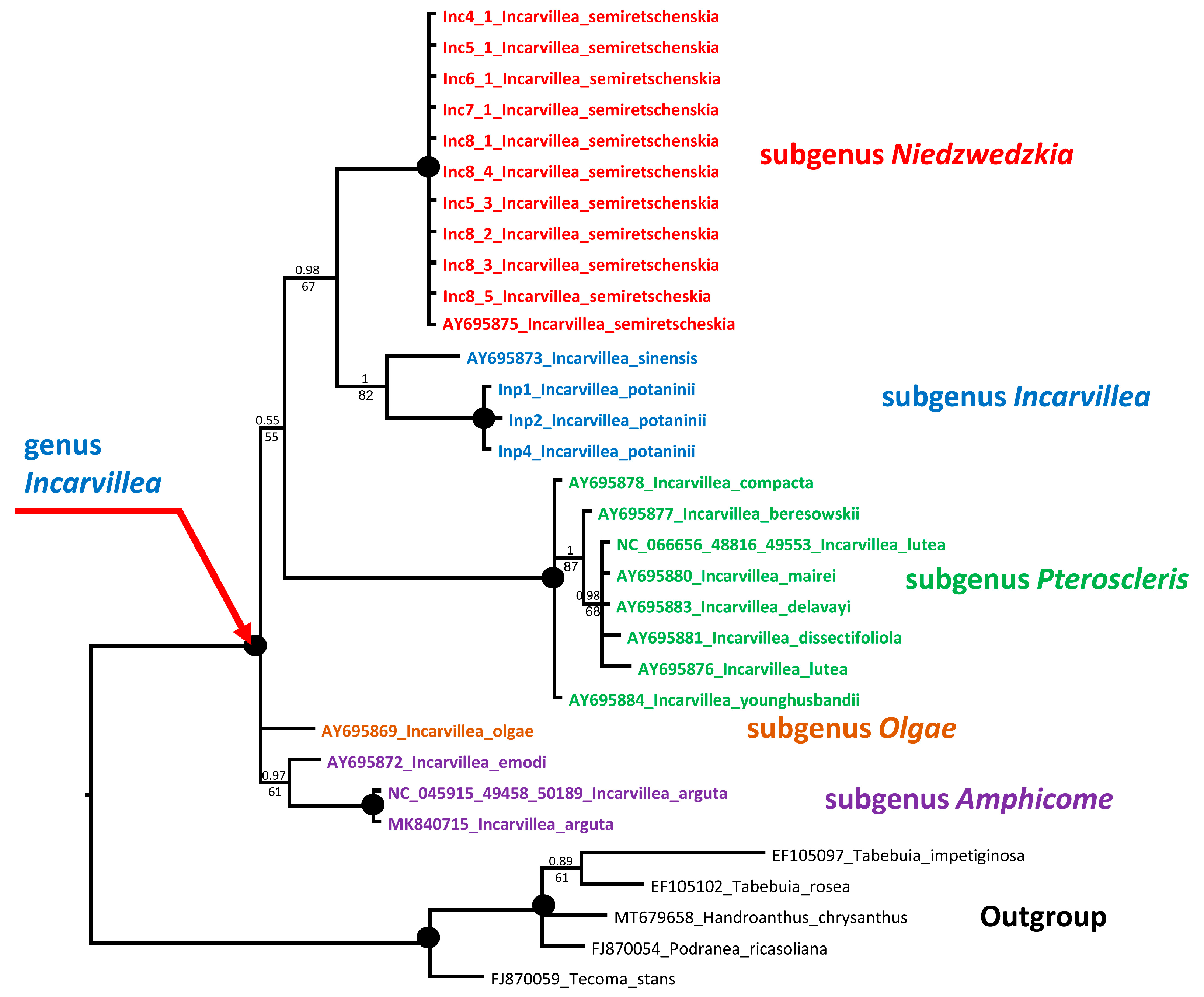 Plants 13 03299 g005 Plants 13 03299 g005