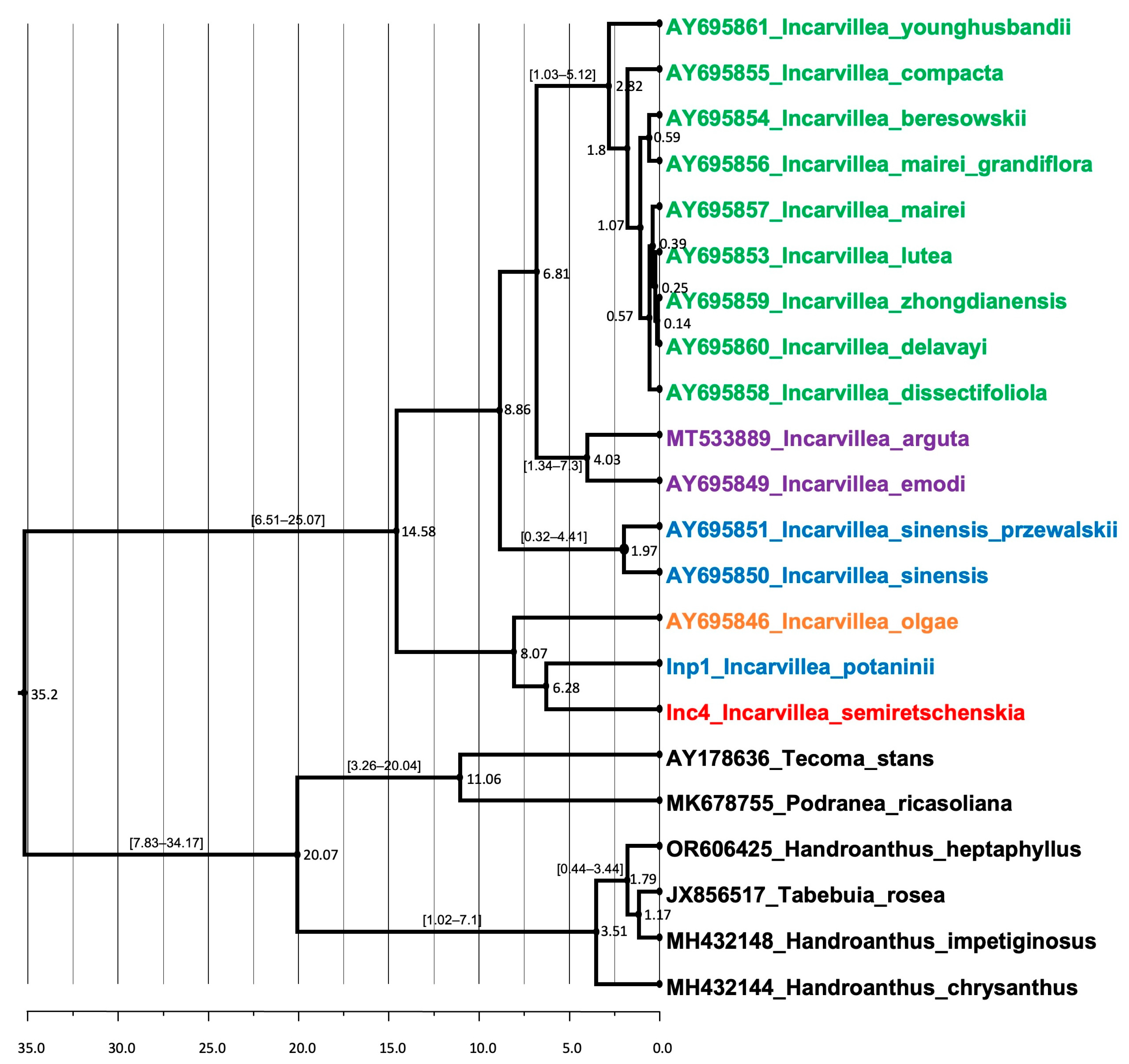 Plants 13 03299 g007 Plants 13 03299 g007