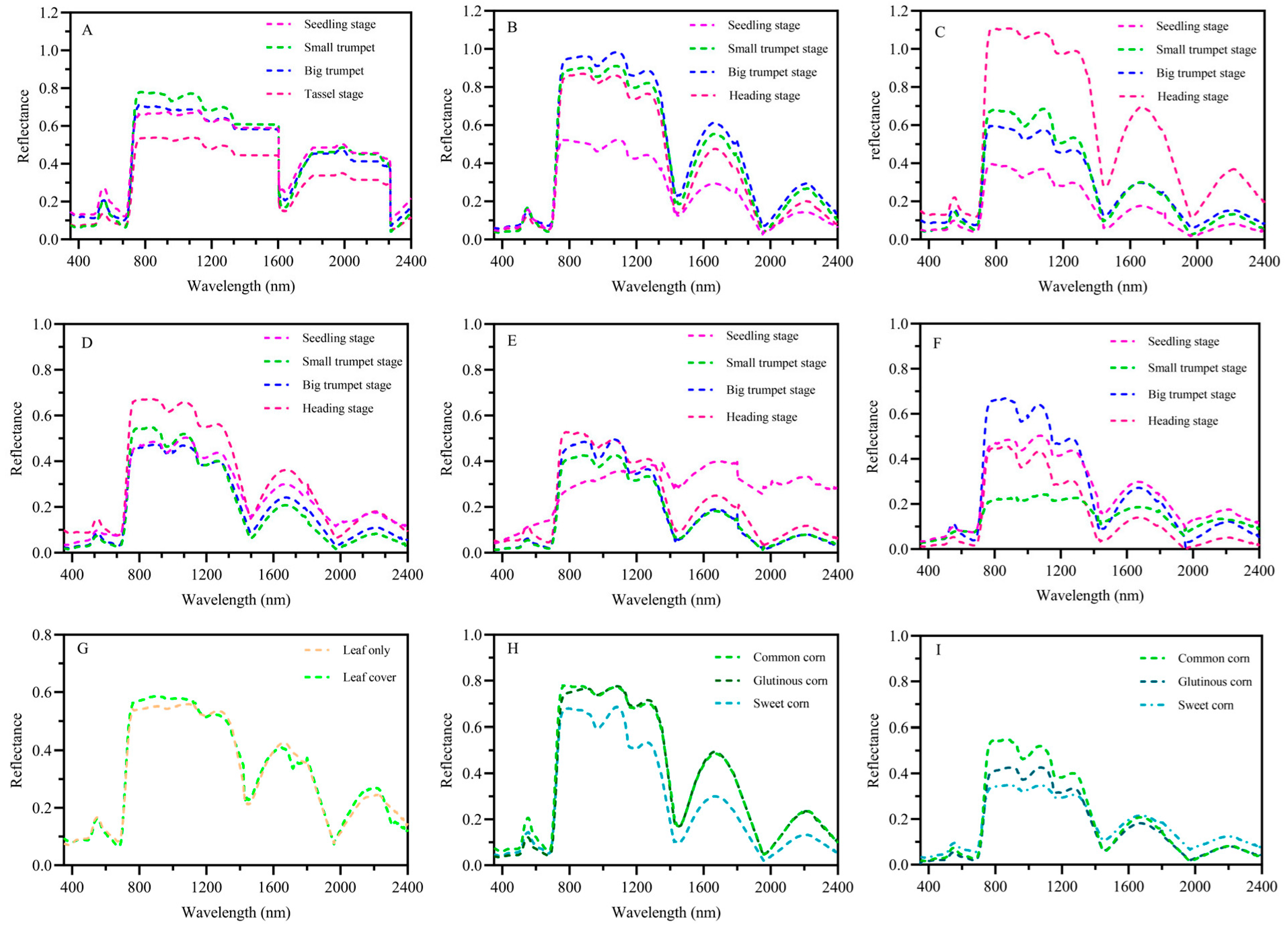 Plants 13 03300 g002