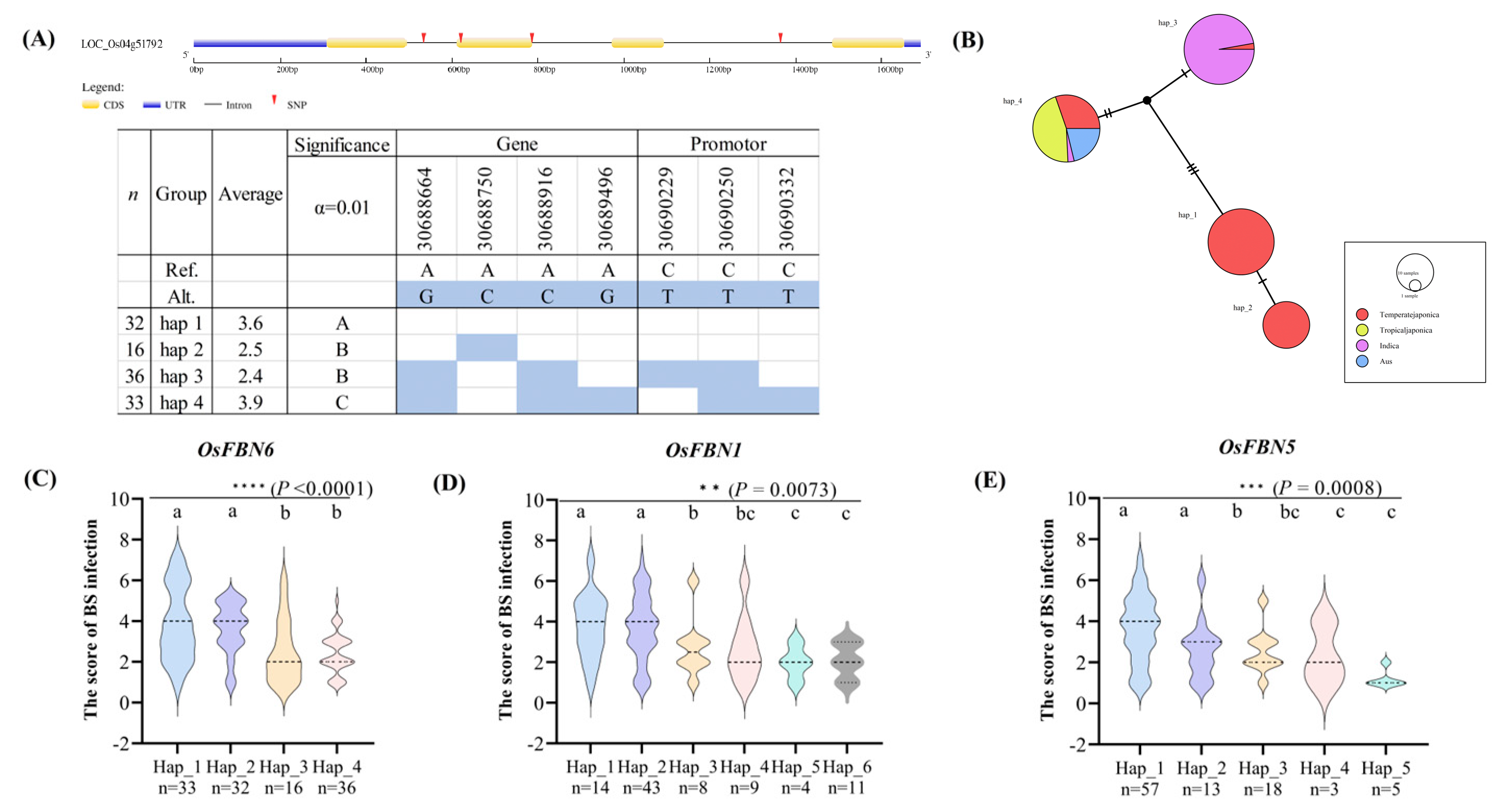 Plants 13 03302 g002 Plants 13 03302 g002