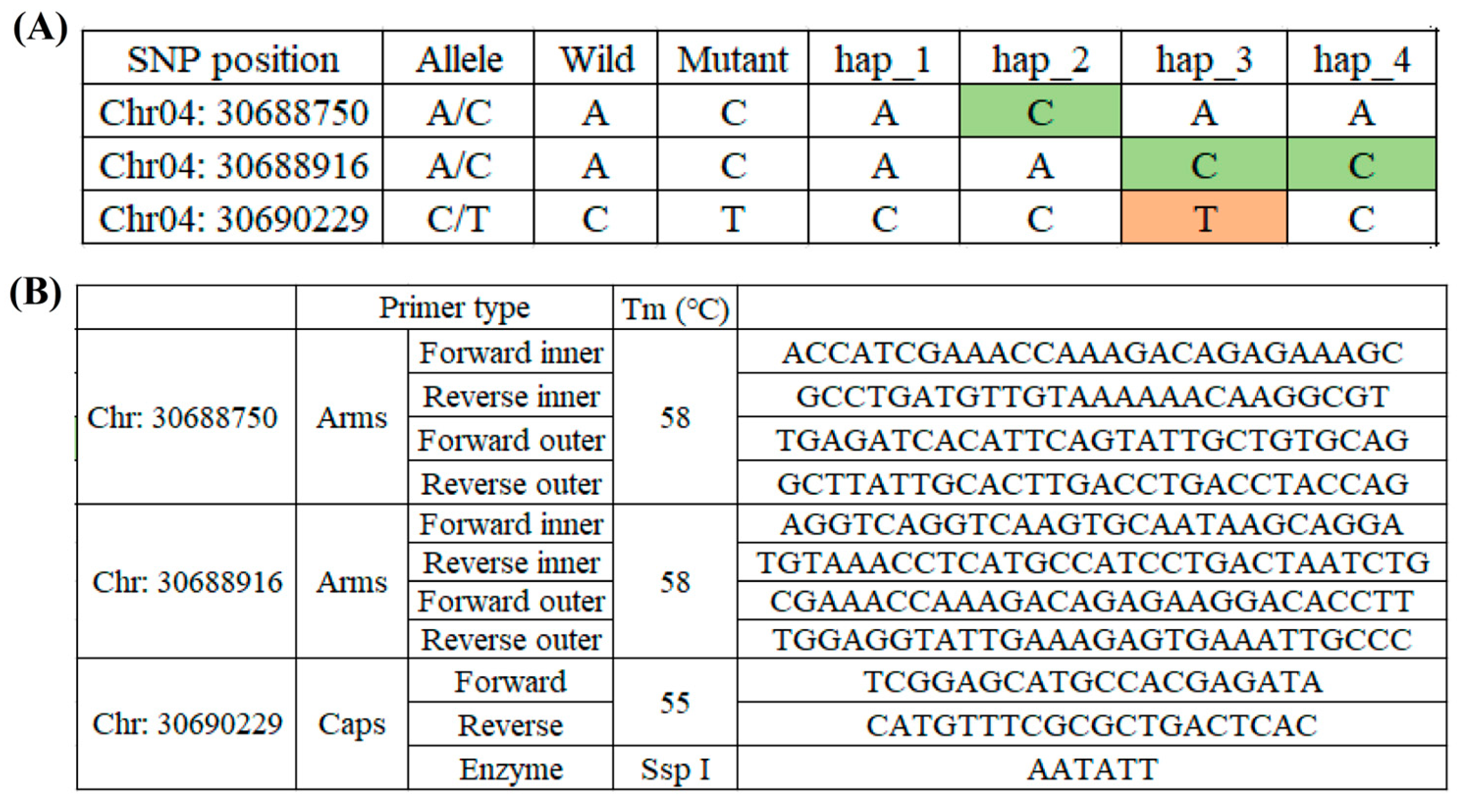 Plants 13 03302 g003 Plants 13 03302 g003