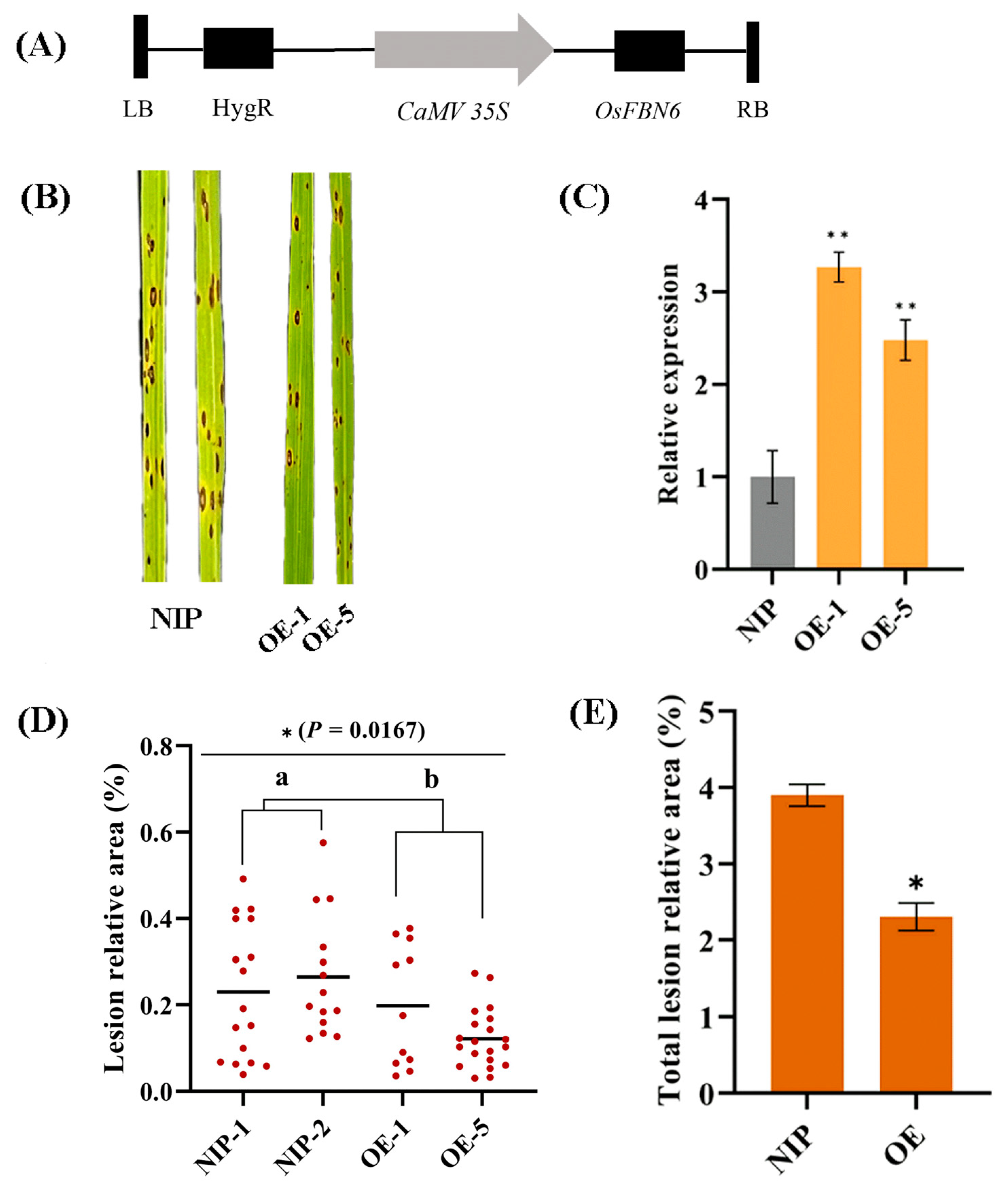 Plants 13 03302 g005 Plants 13 03302 g005