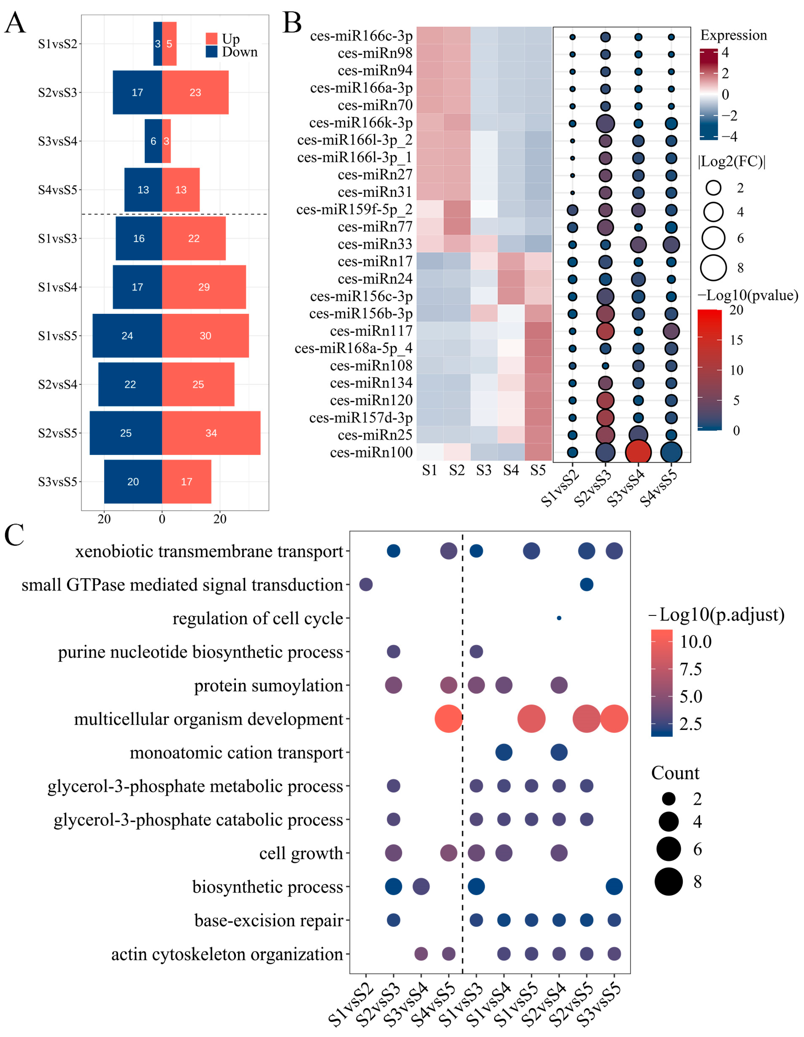 Plants 13 03305 g003