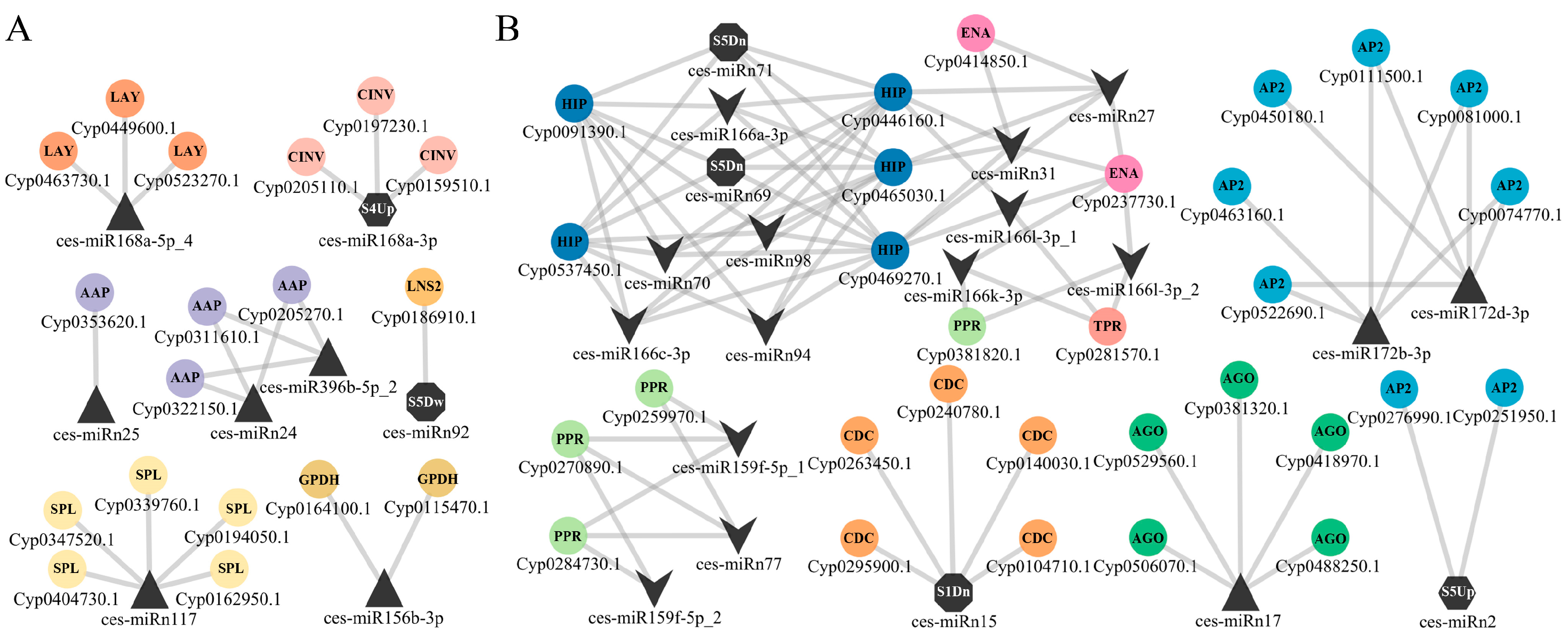 Plants 13 03305 g004