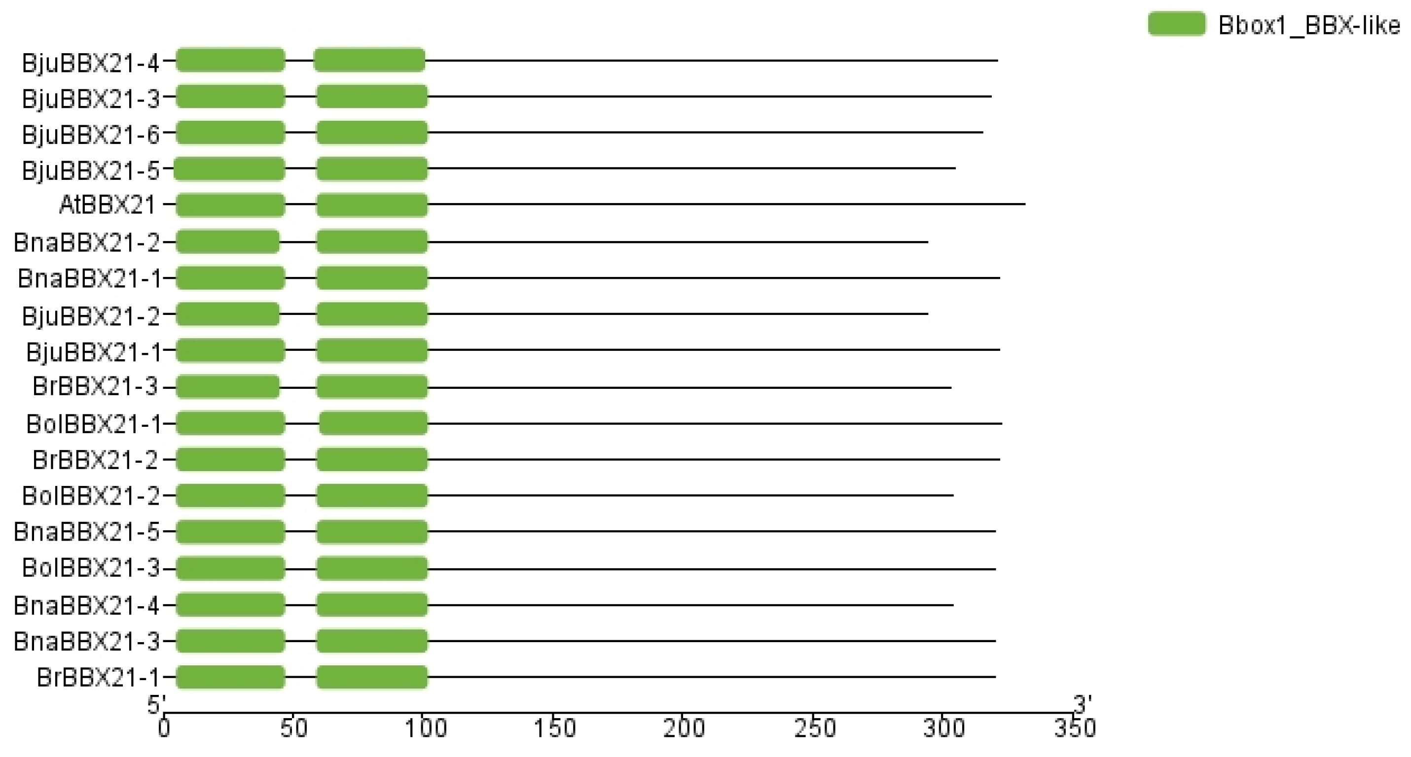 Plants 13 03306 g003