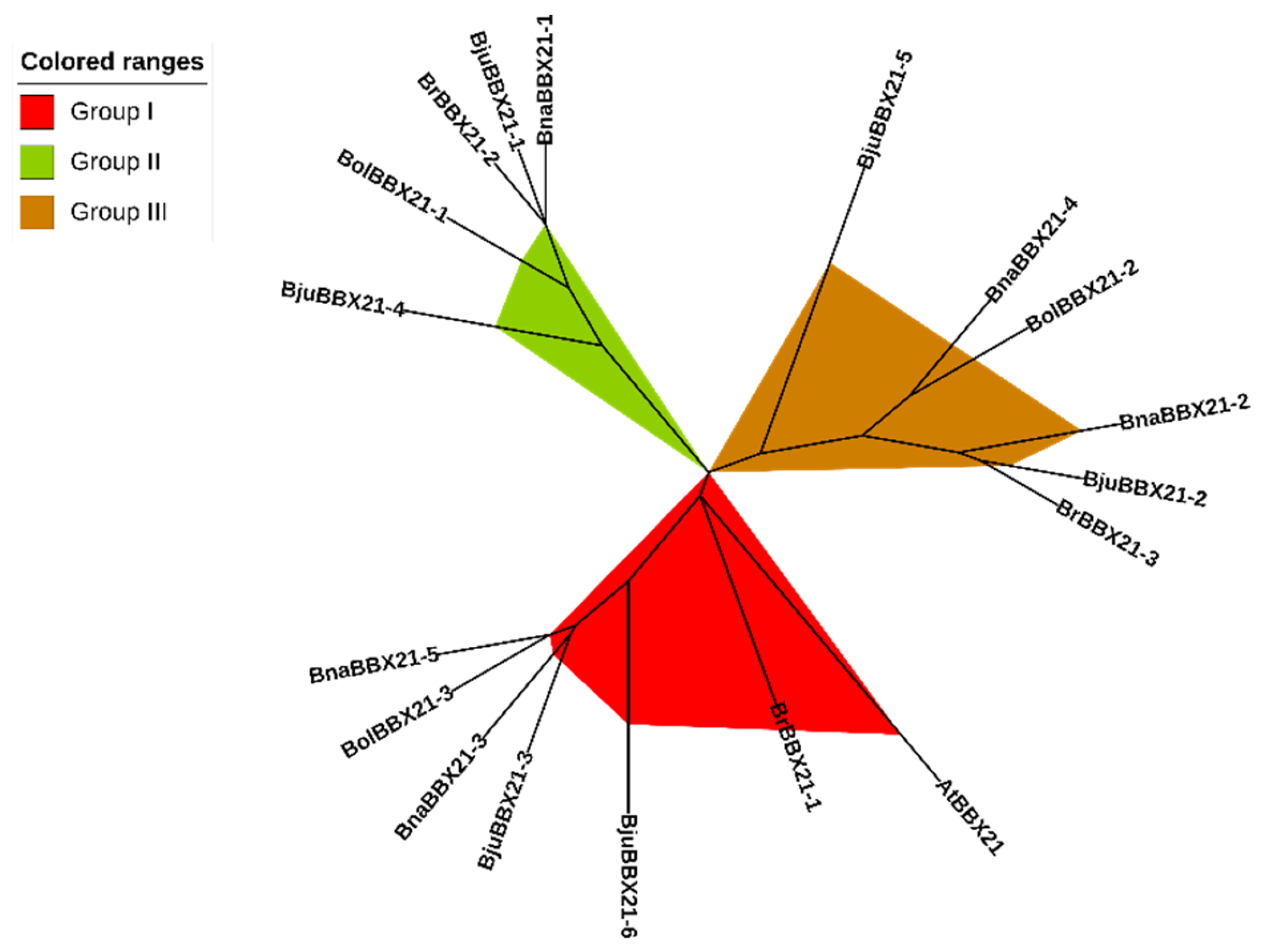 Plants 13 03306 g004