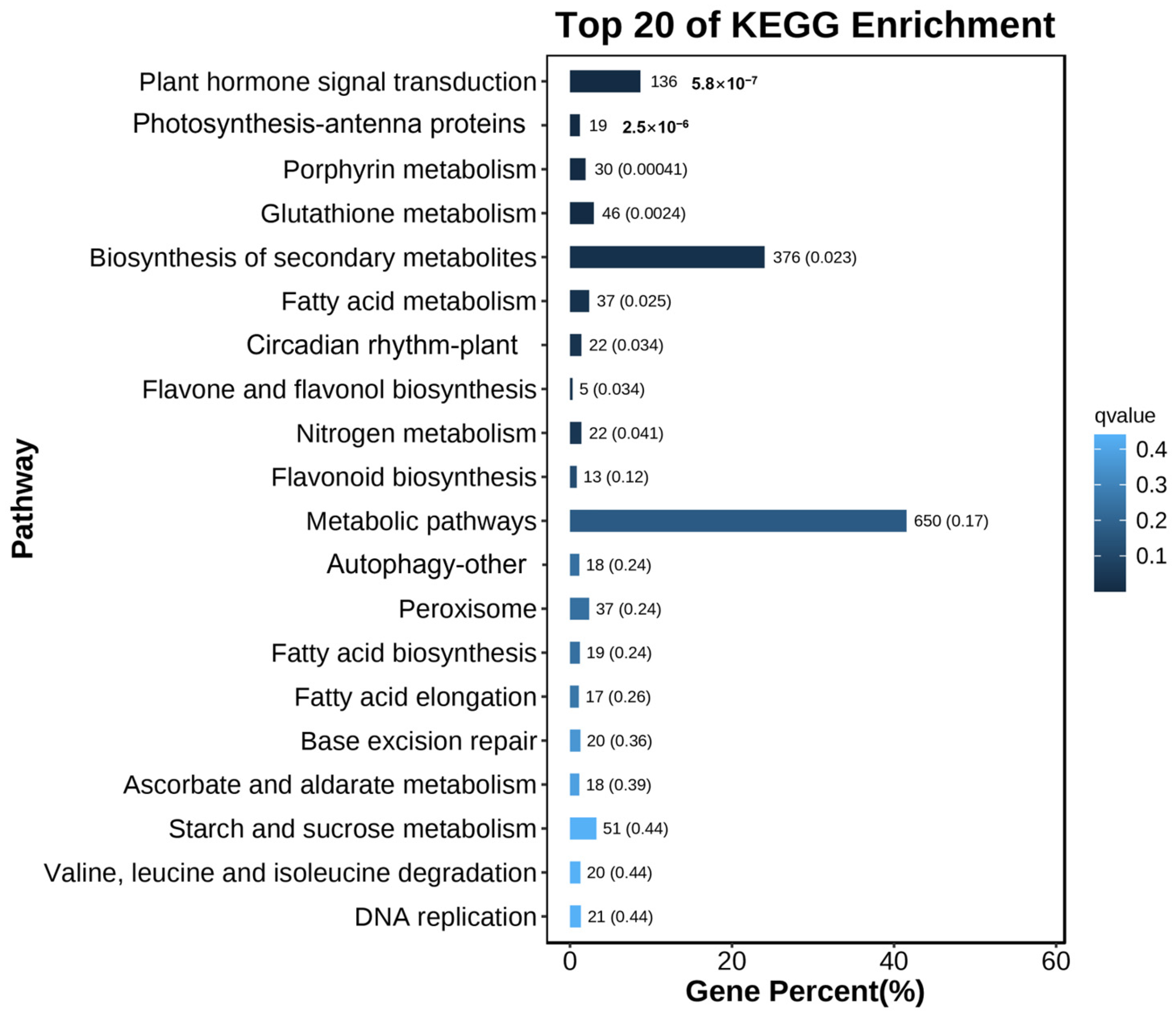 Plants 13 03306 g009