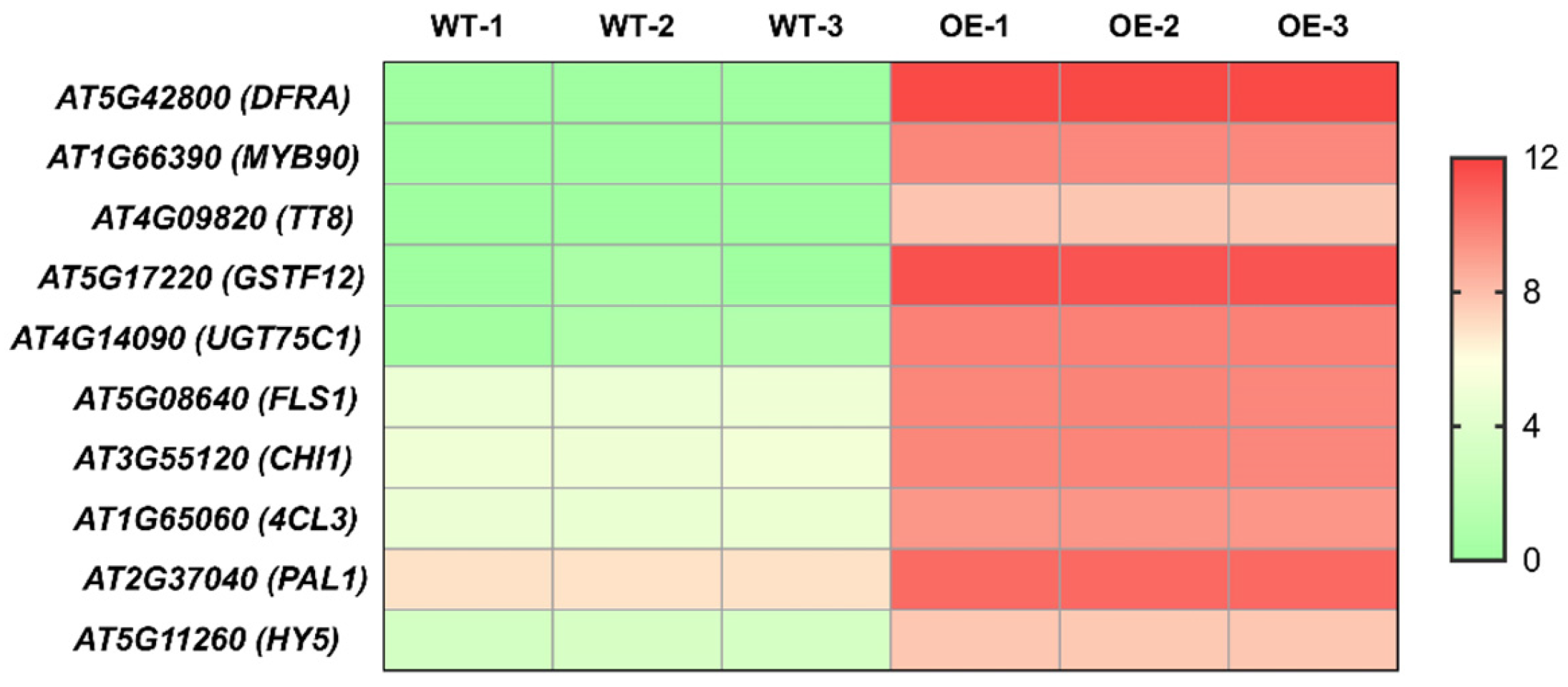 Plants 13 03306 g010