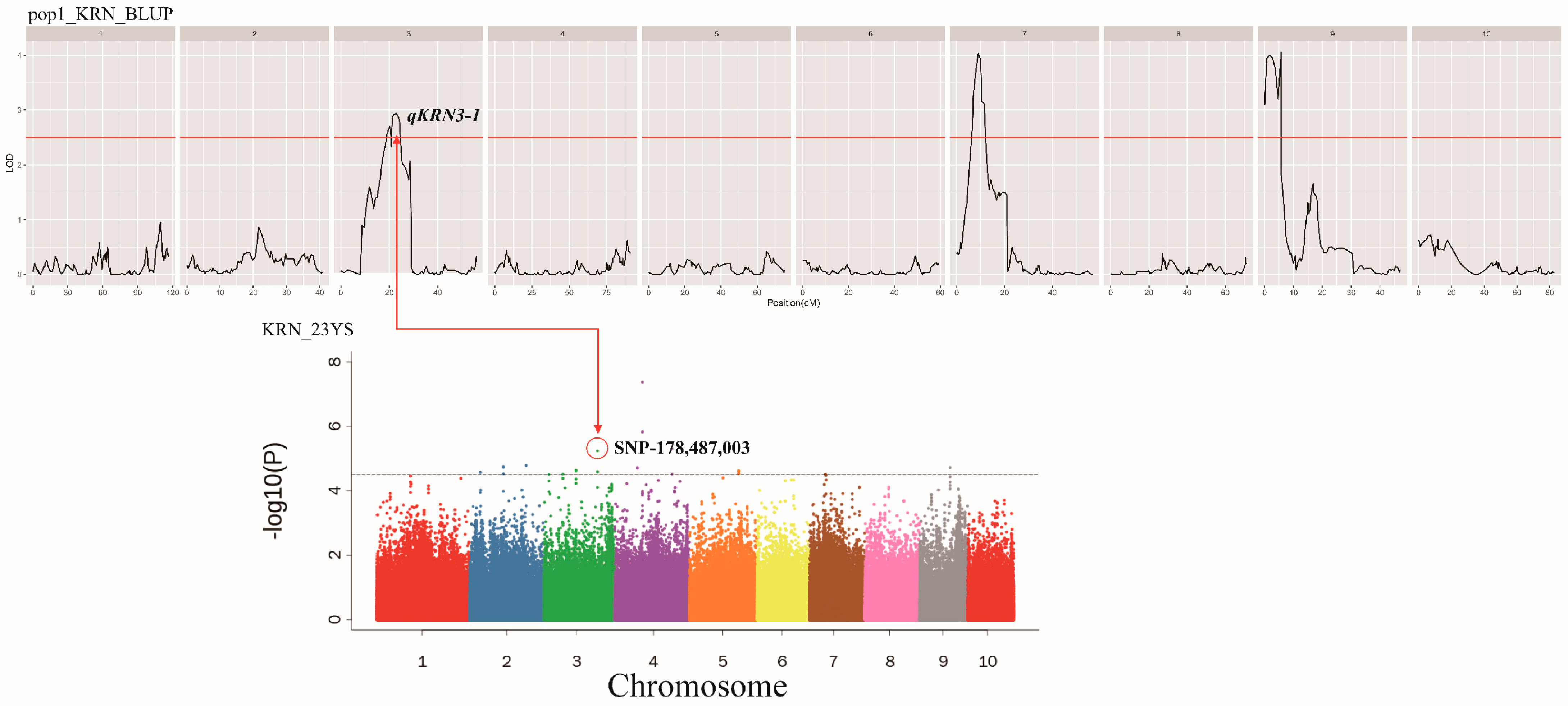 Plants 13 03308 g006