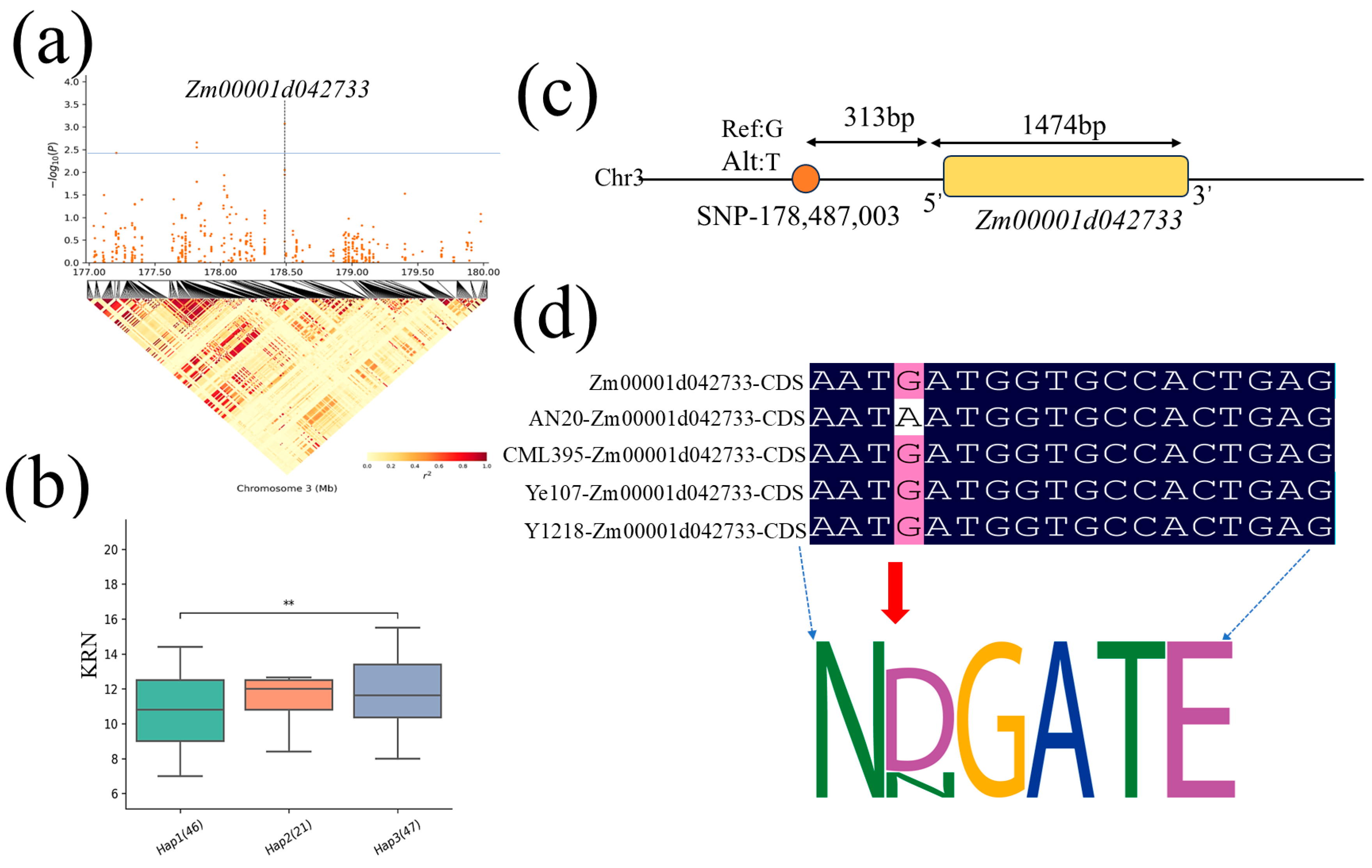 Plants 13 03308 g007