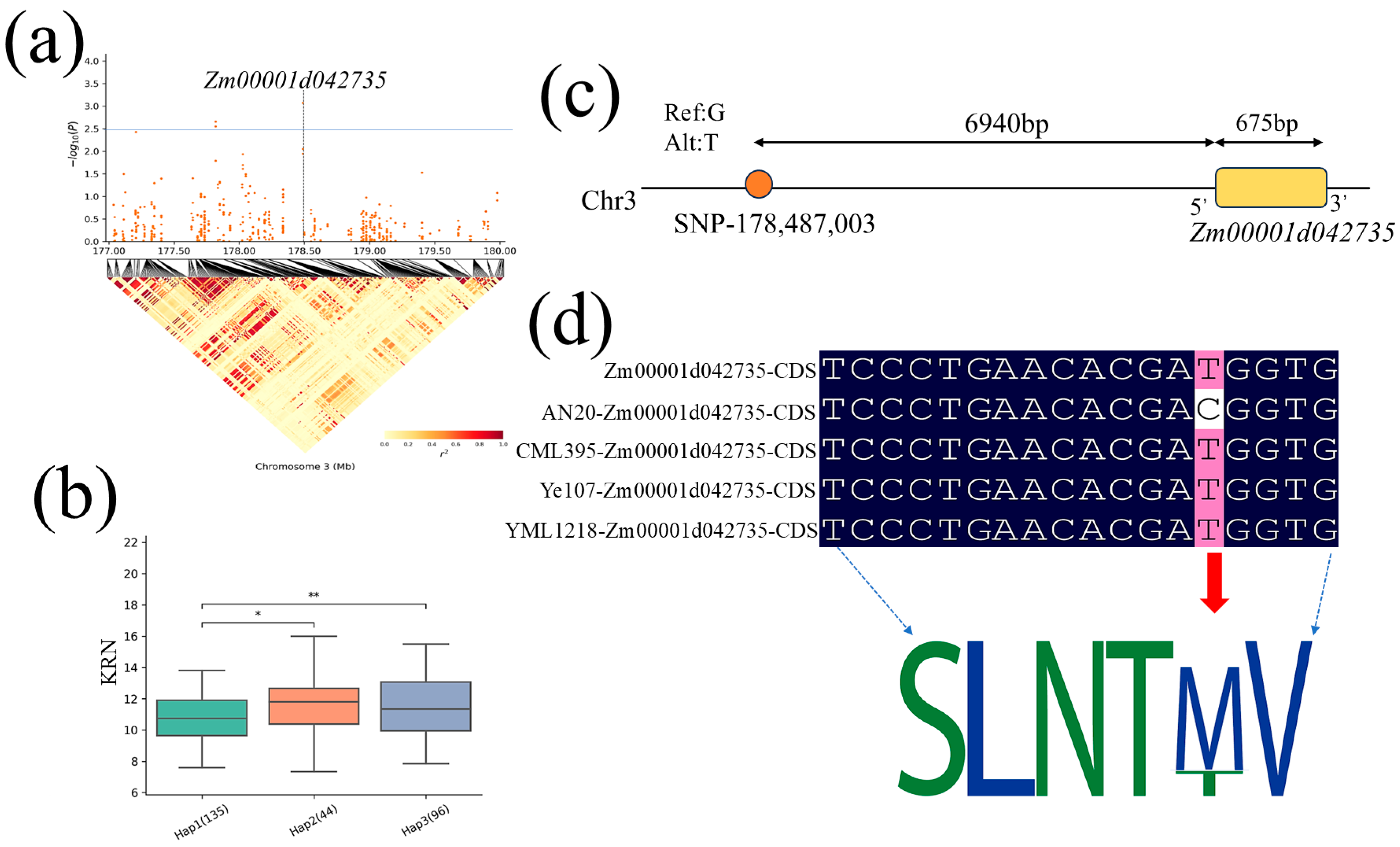 Plants 13 03308 g008