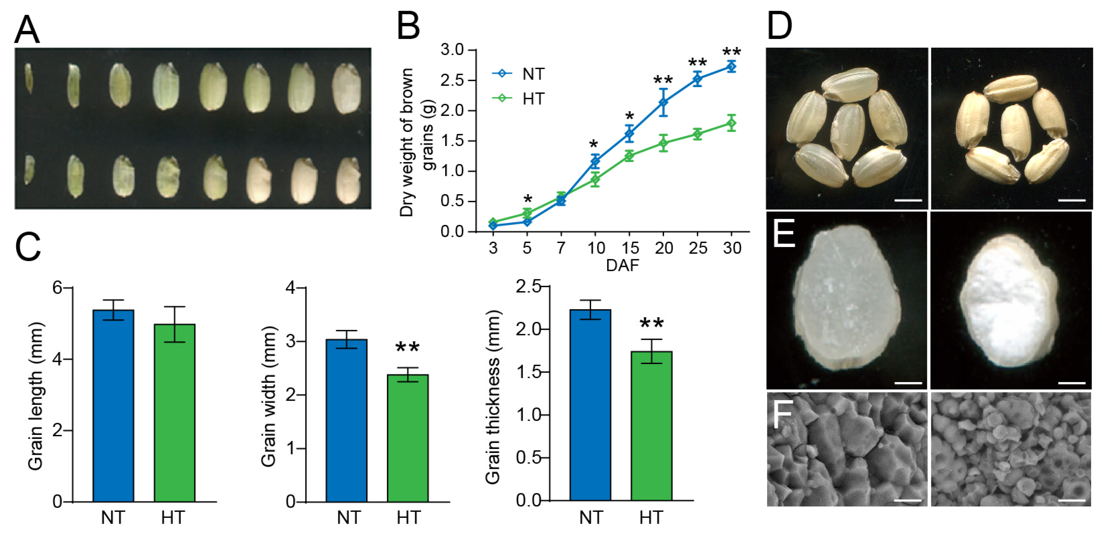 Plants 13 03309 g001