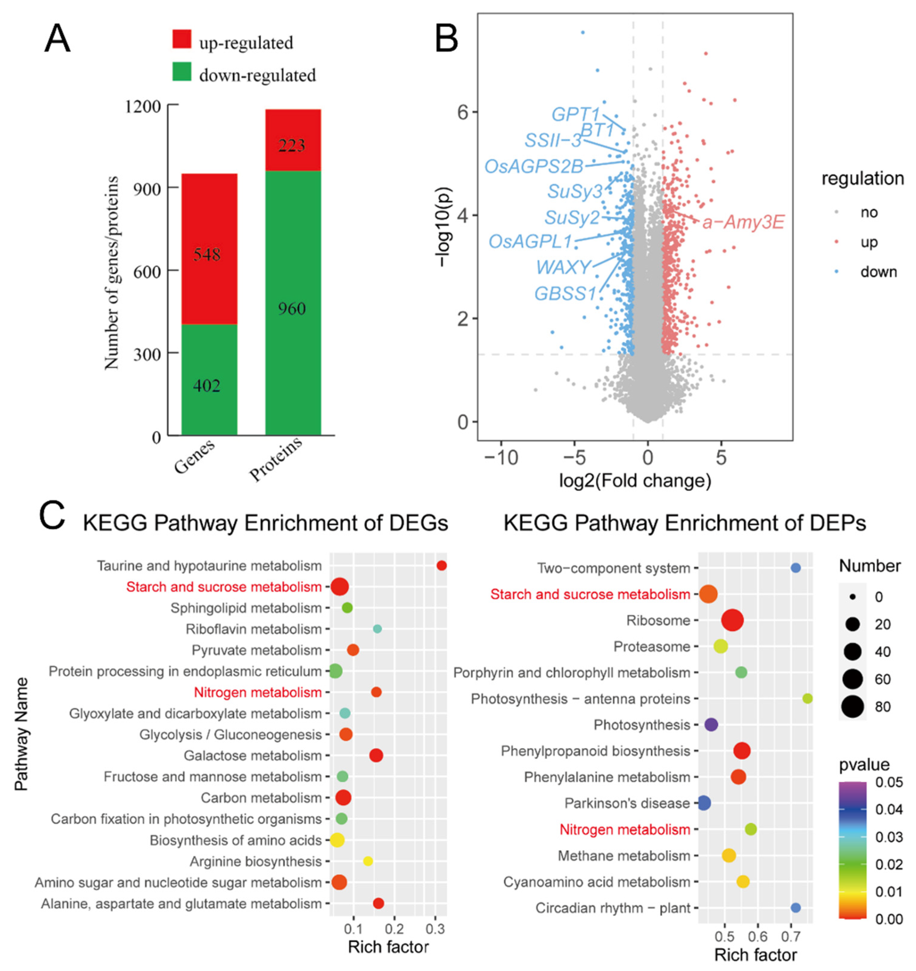 Plants 13 03309 g003