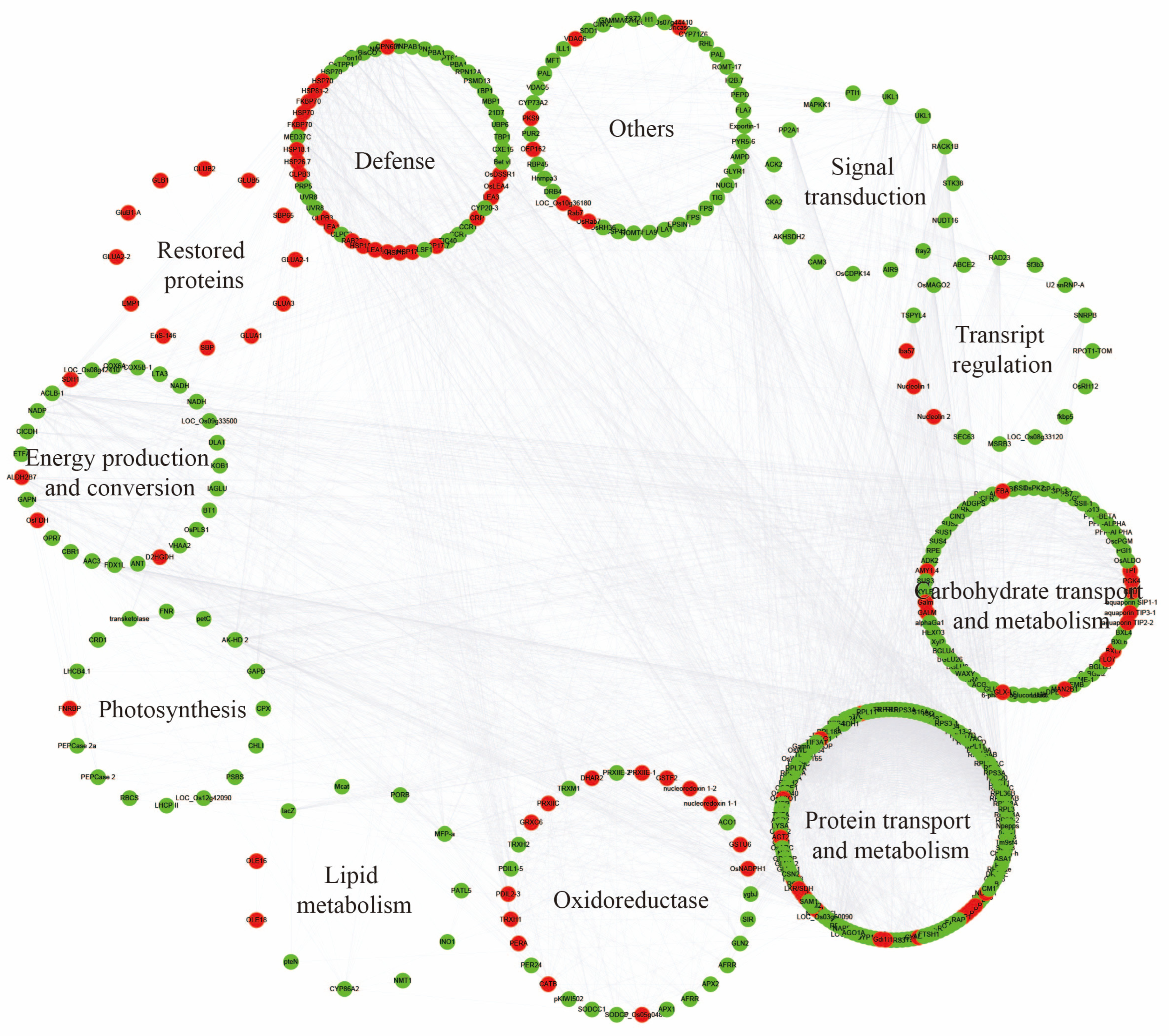 Plants 13 03309 g004