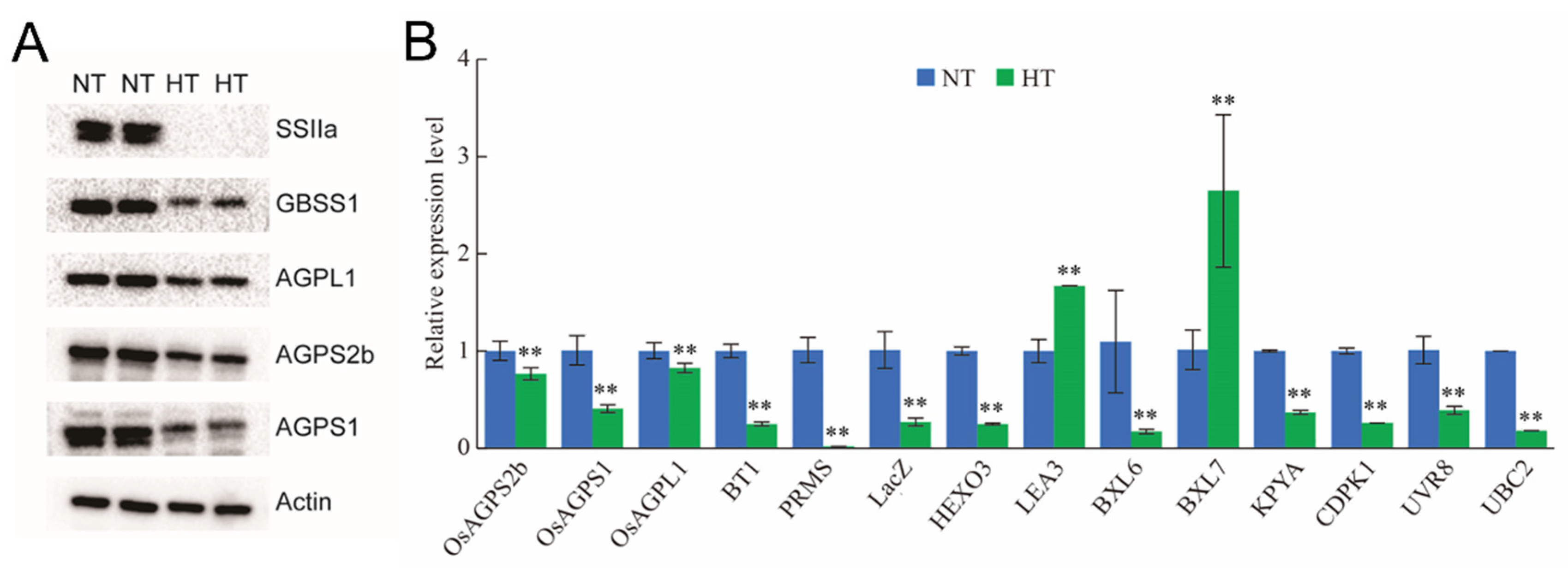 Plants 13 03309 g006