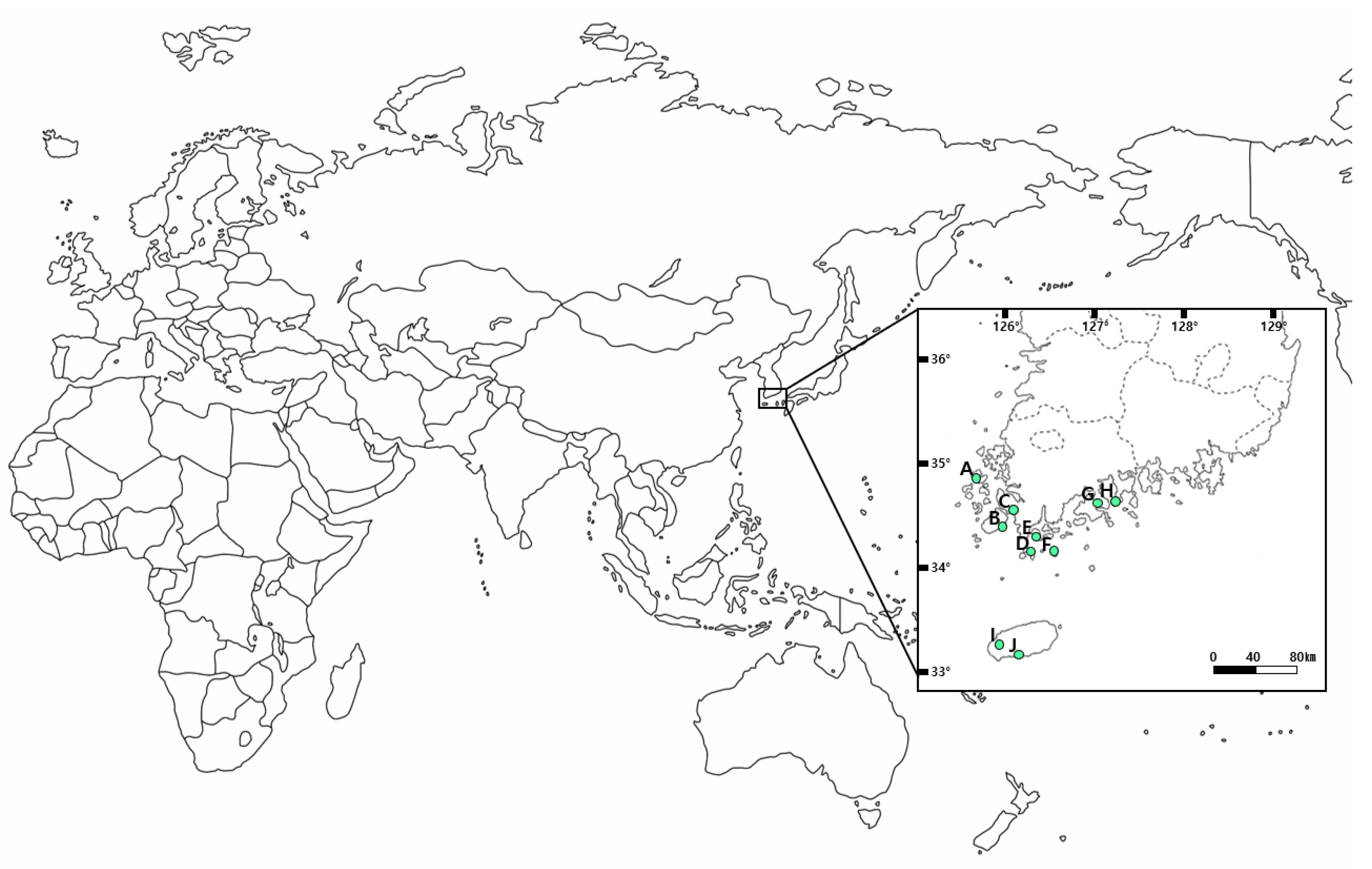 Plants 13 03310 g004
