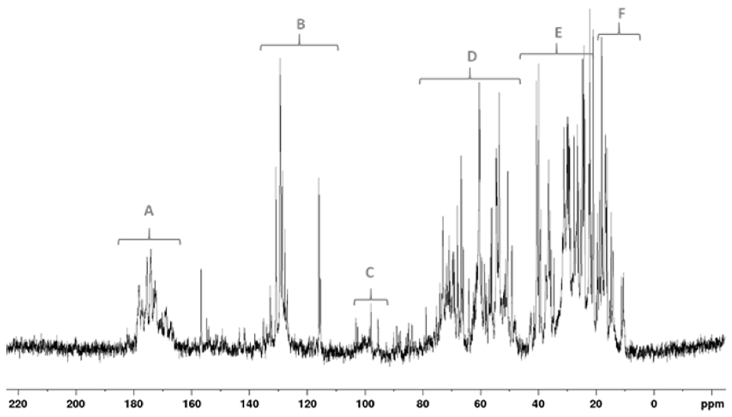 Plants 13 03311 g003