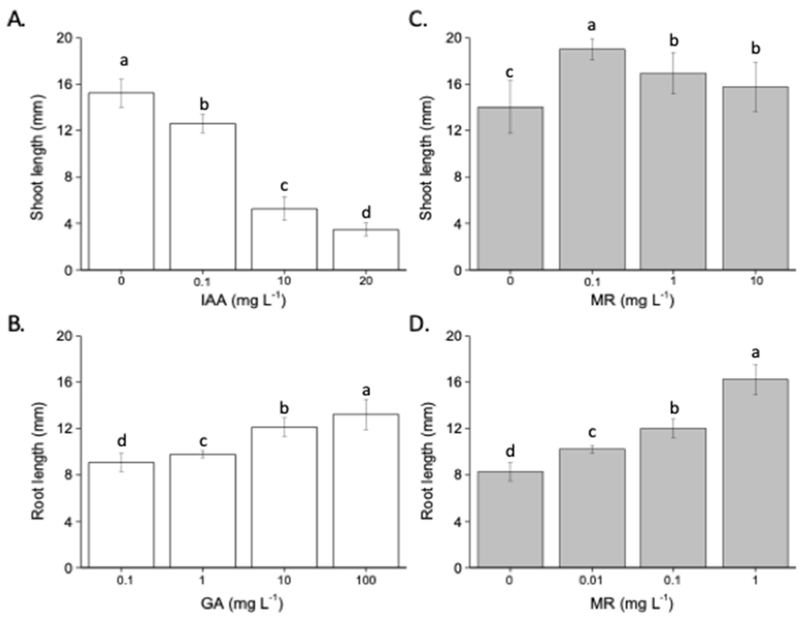 Plants 13 03311 g004
