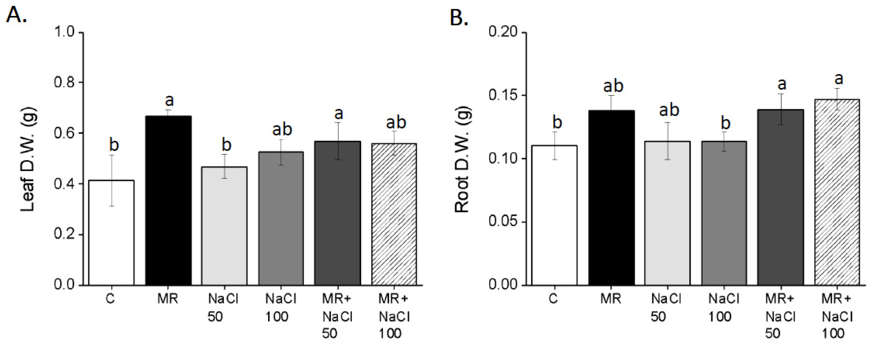 Plants 13 03311 g006