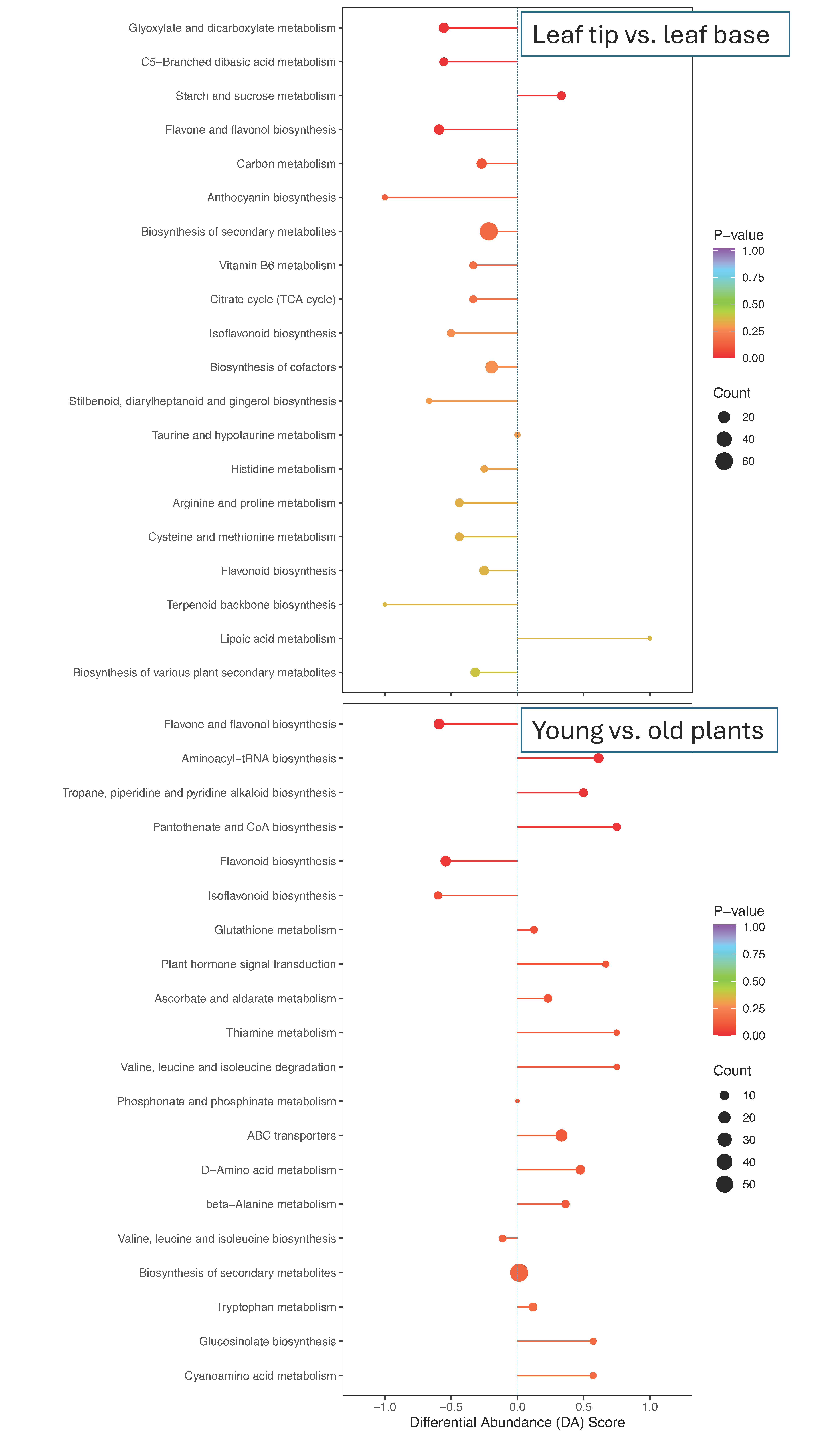 Plants 13 03316 g005