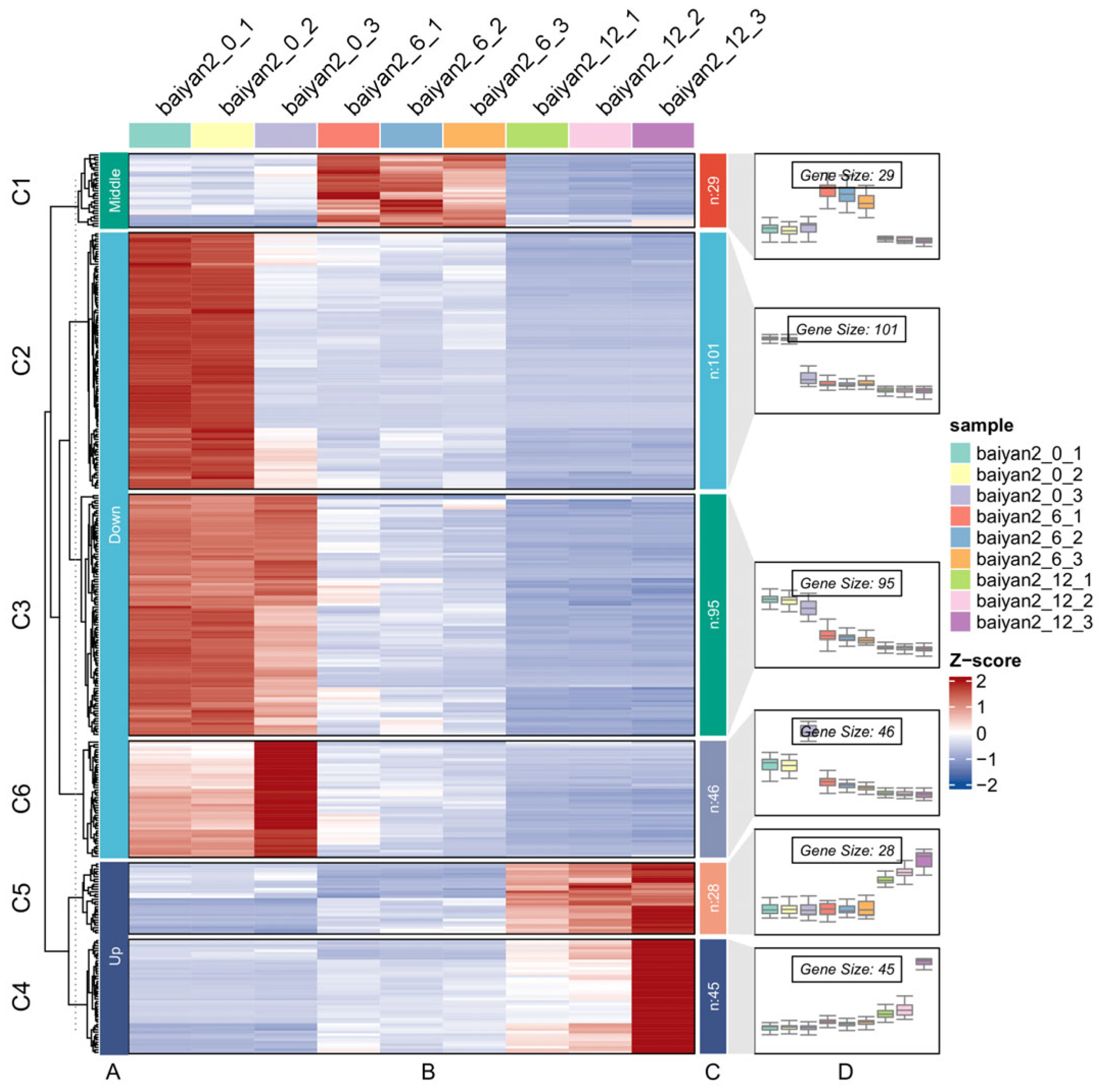 Plants 13 03317 g006