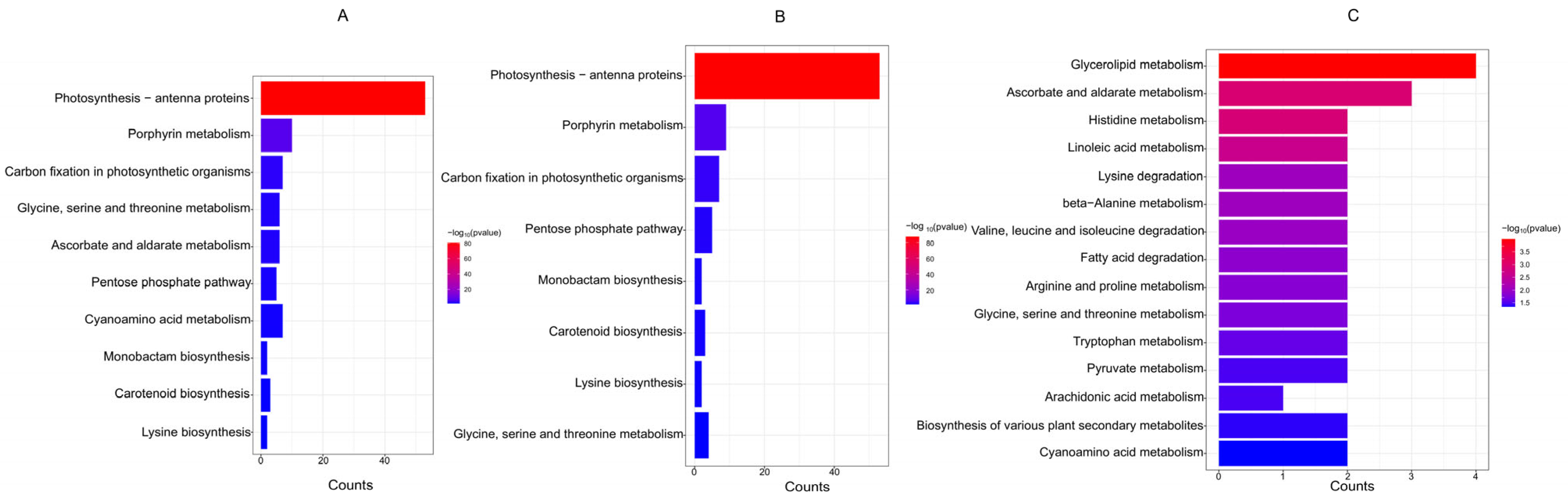 Plants 13 03317 g008