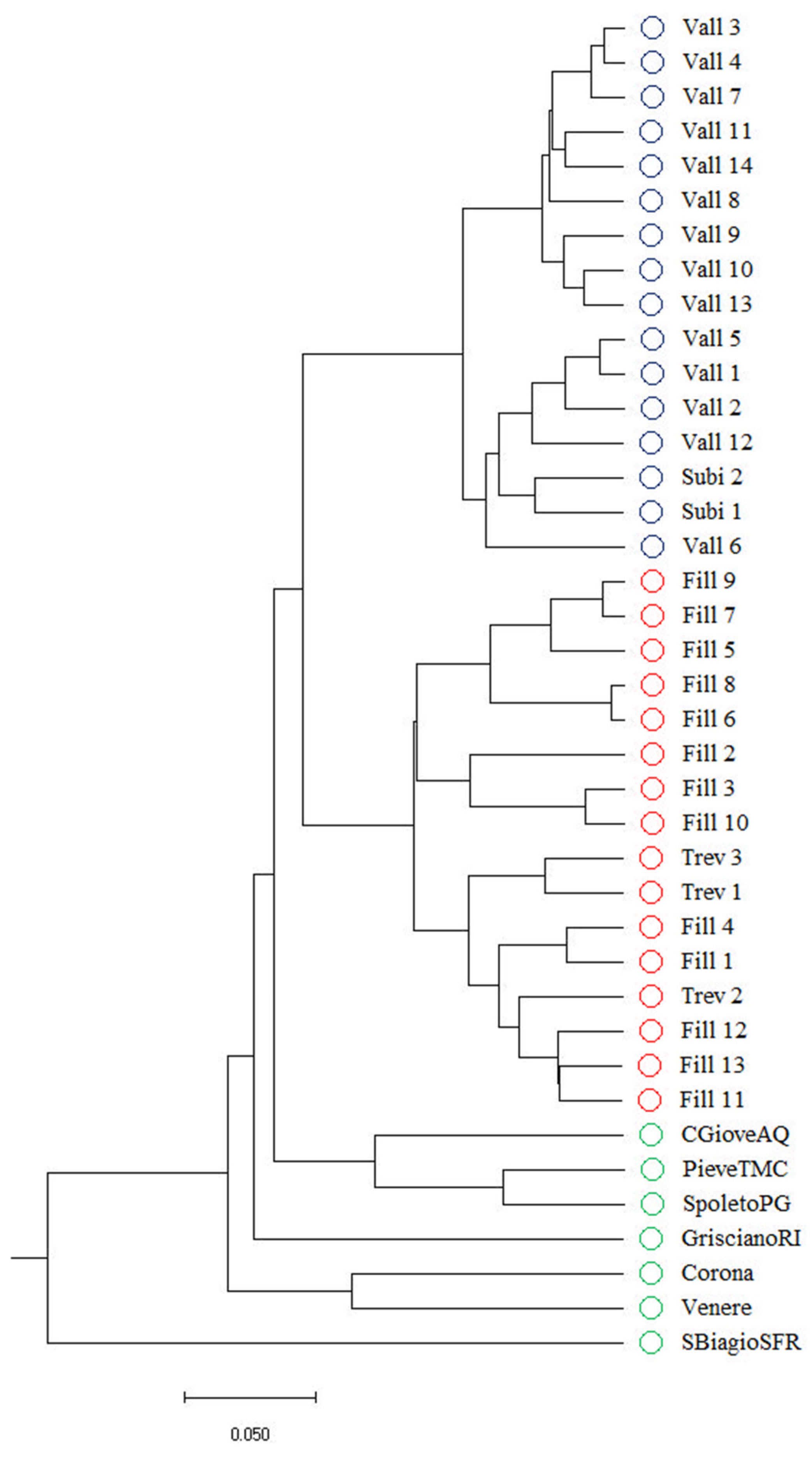Plants 13 03320 g001