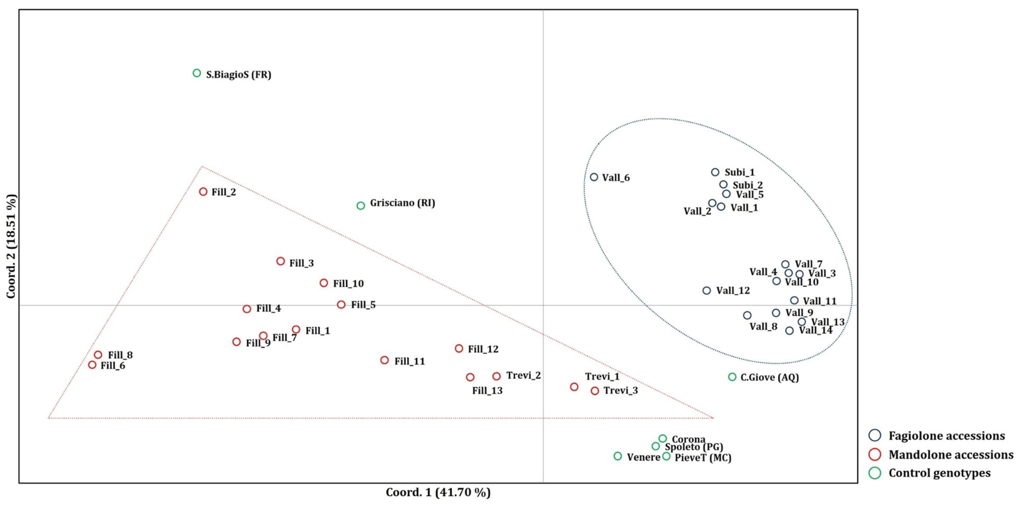 Plants 13 03320 g002