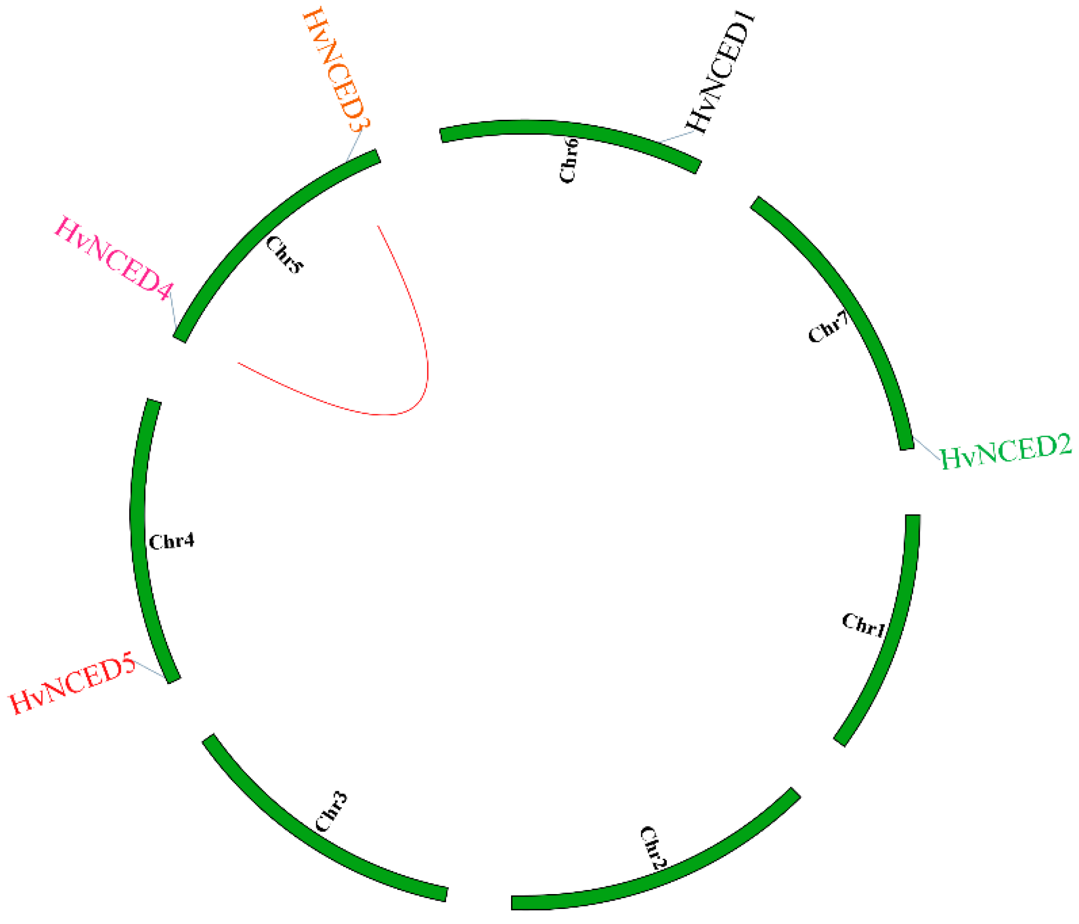 Plants 13 03327 g002