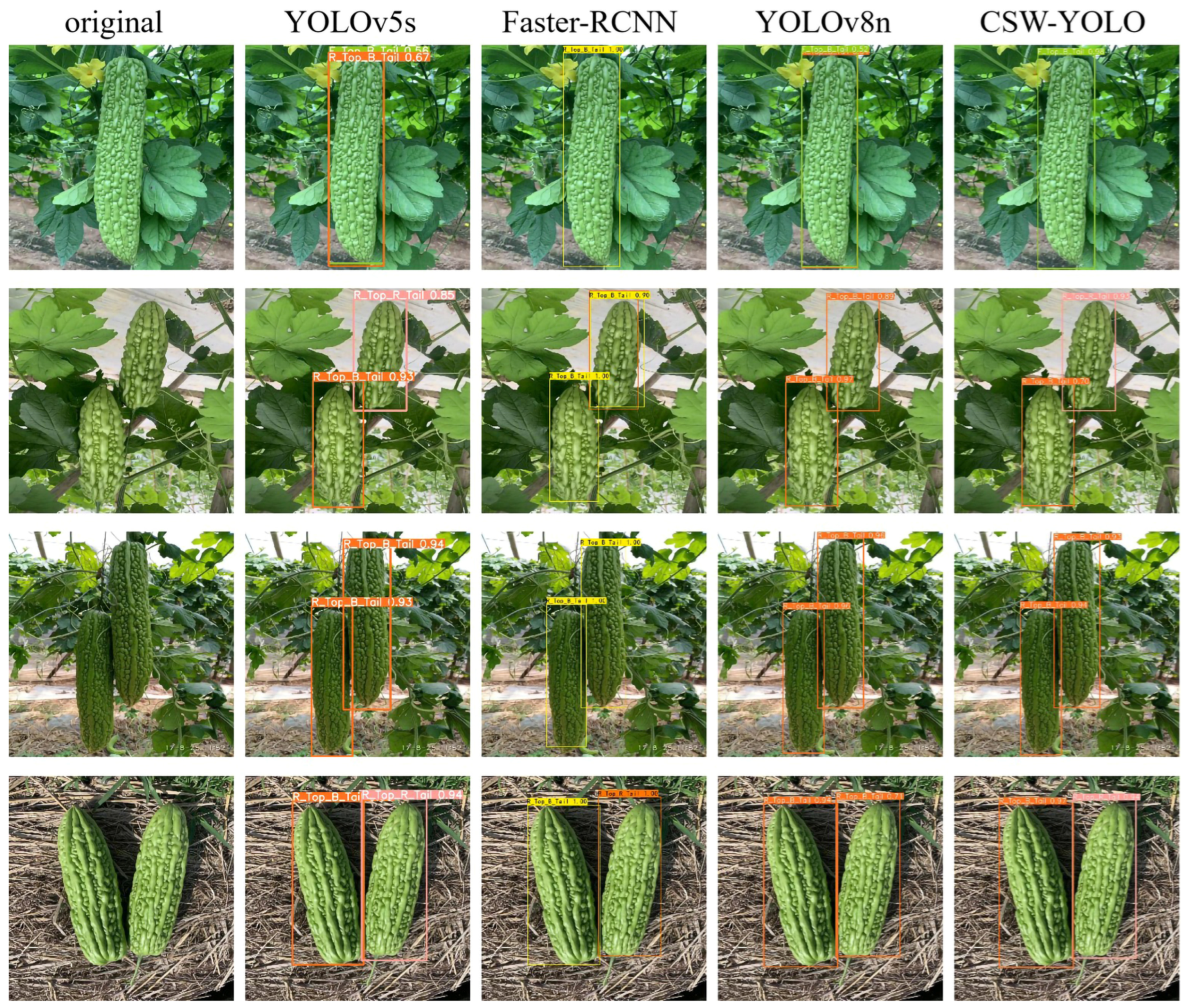 Plants 13 03329 g010 Plants 13 03329 g010