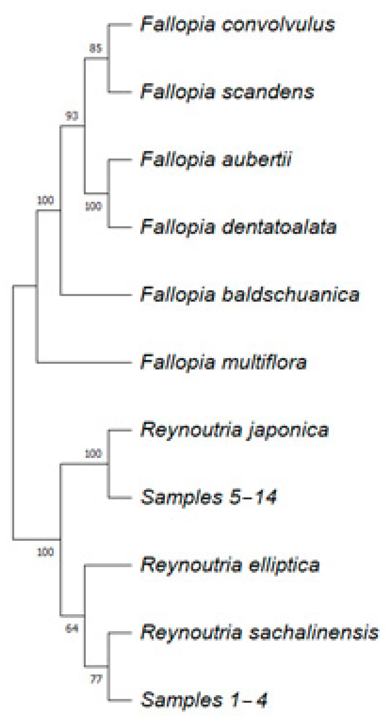 Plants 13 03330 g001