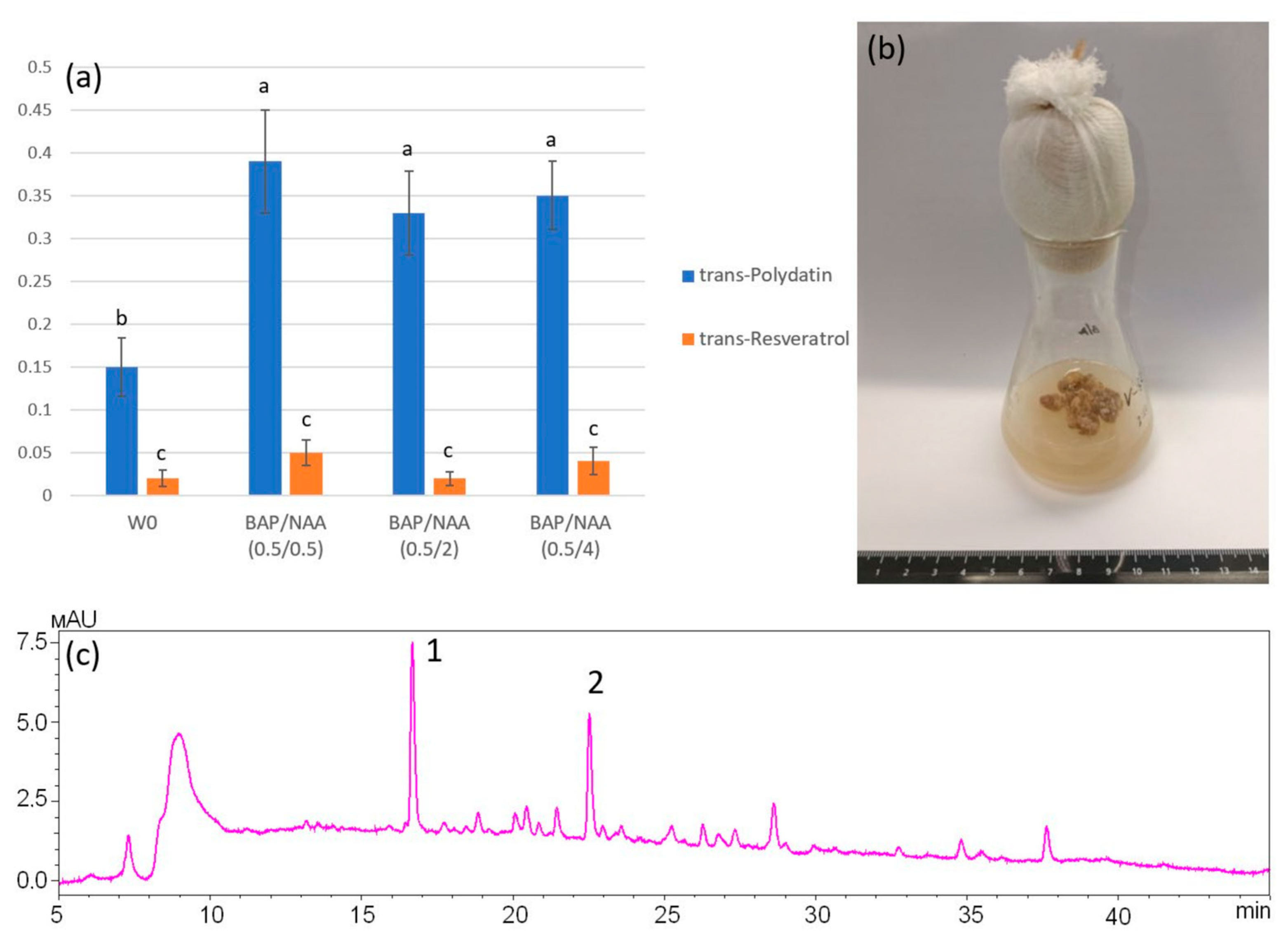 Plants 13 03330 g003