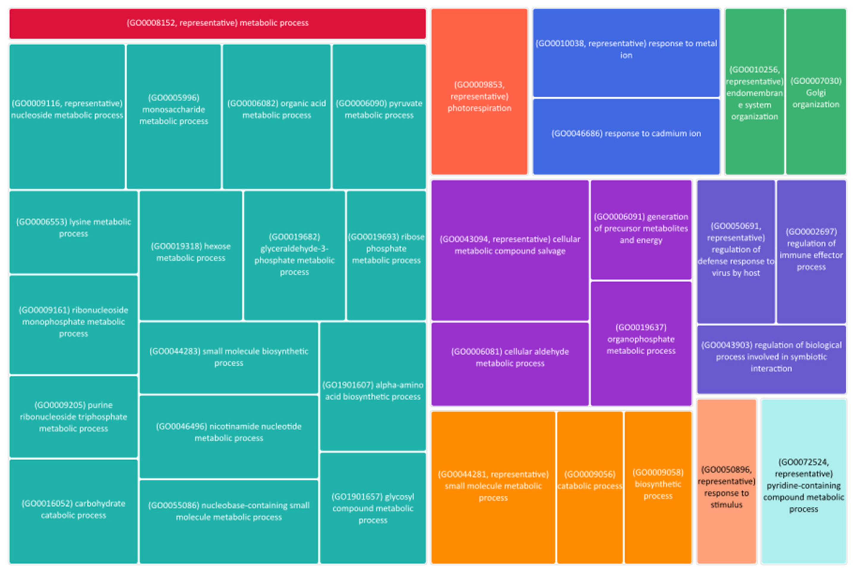 Plants 13 03331 g006