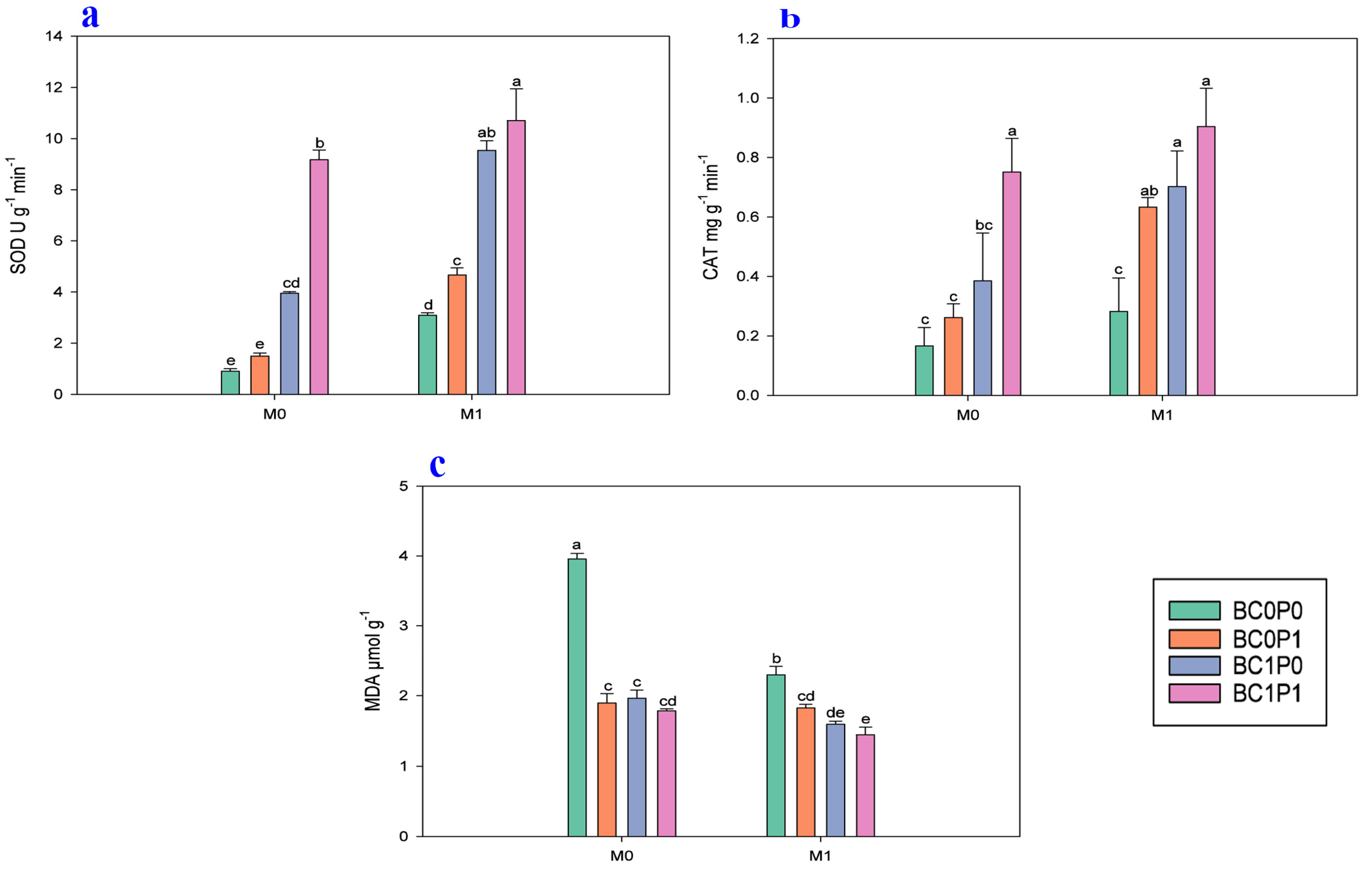 Plants 13 03333 g002