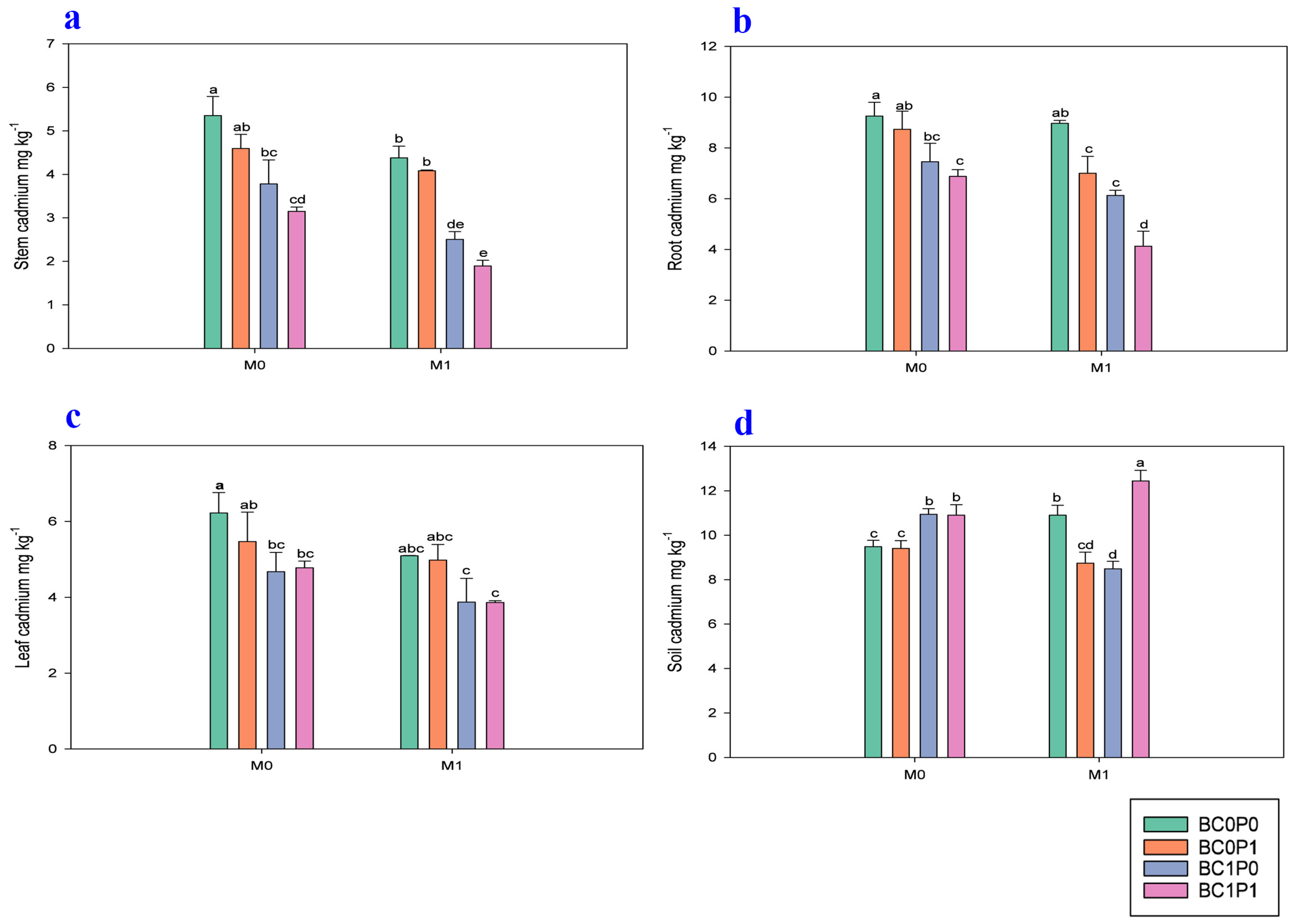 Plants 13 03333 g004