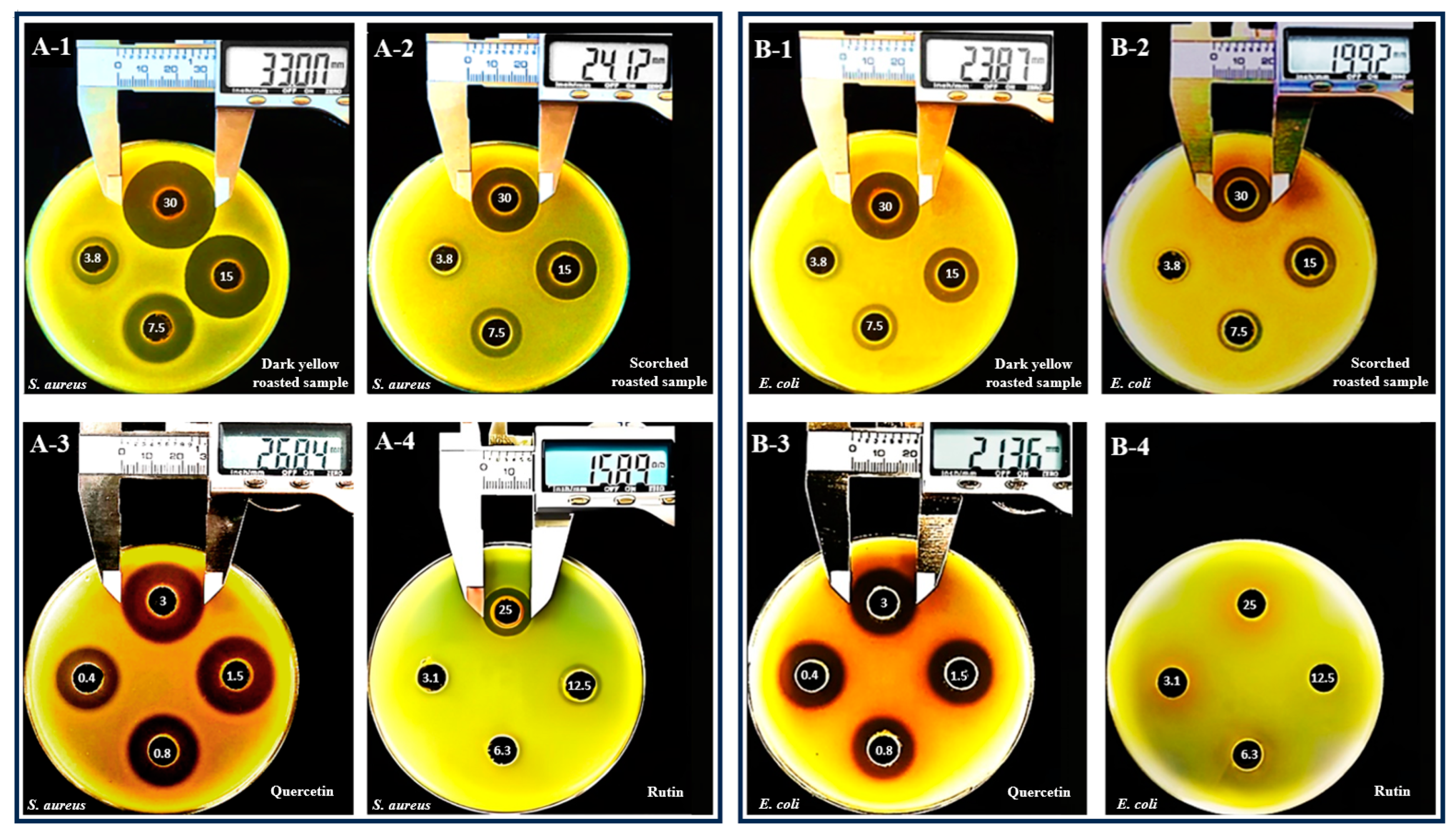 Plants 13 03337 g003