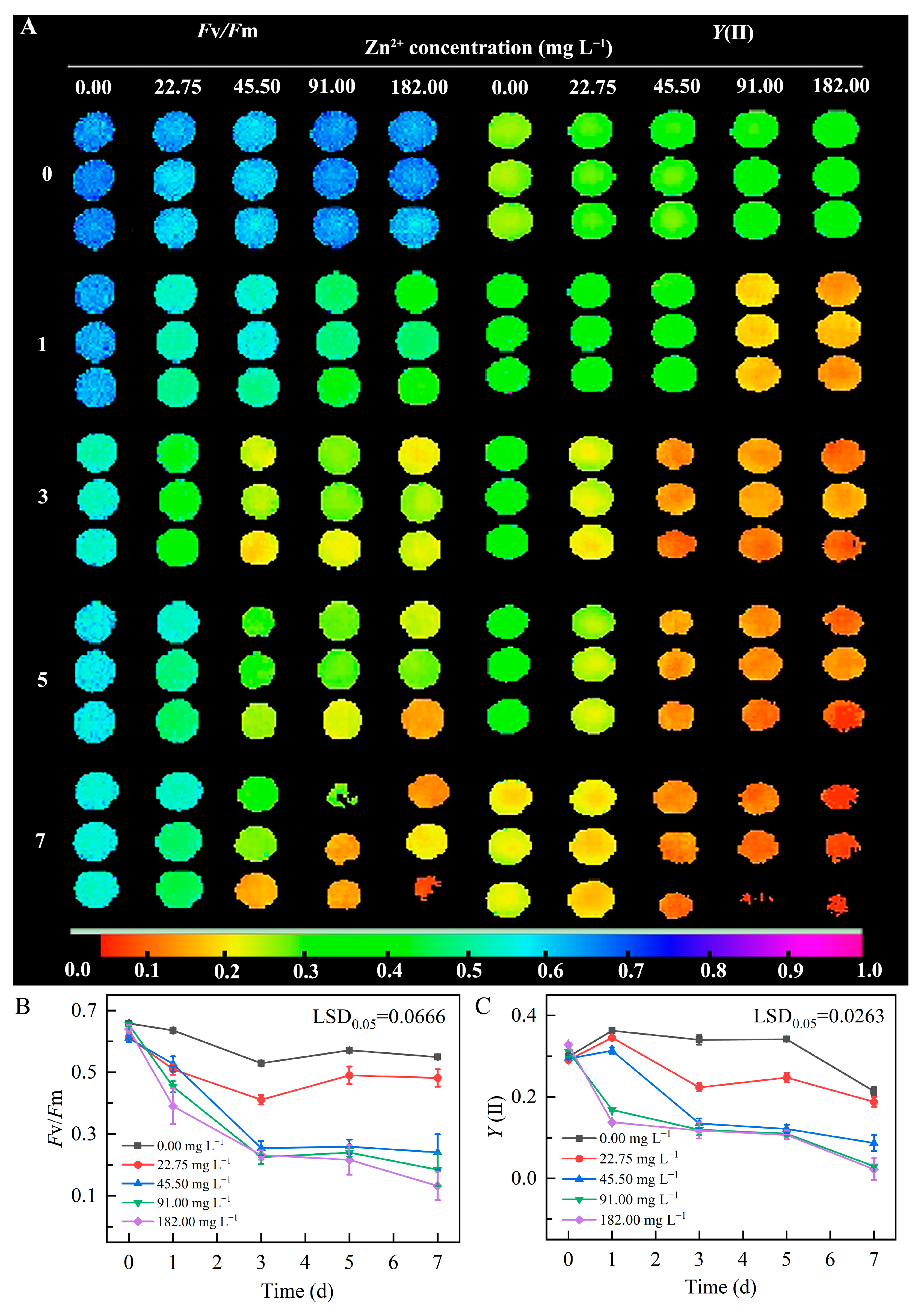 Plants 13 03338 g005