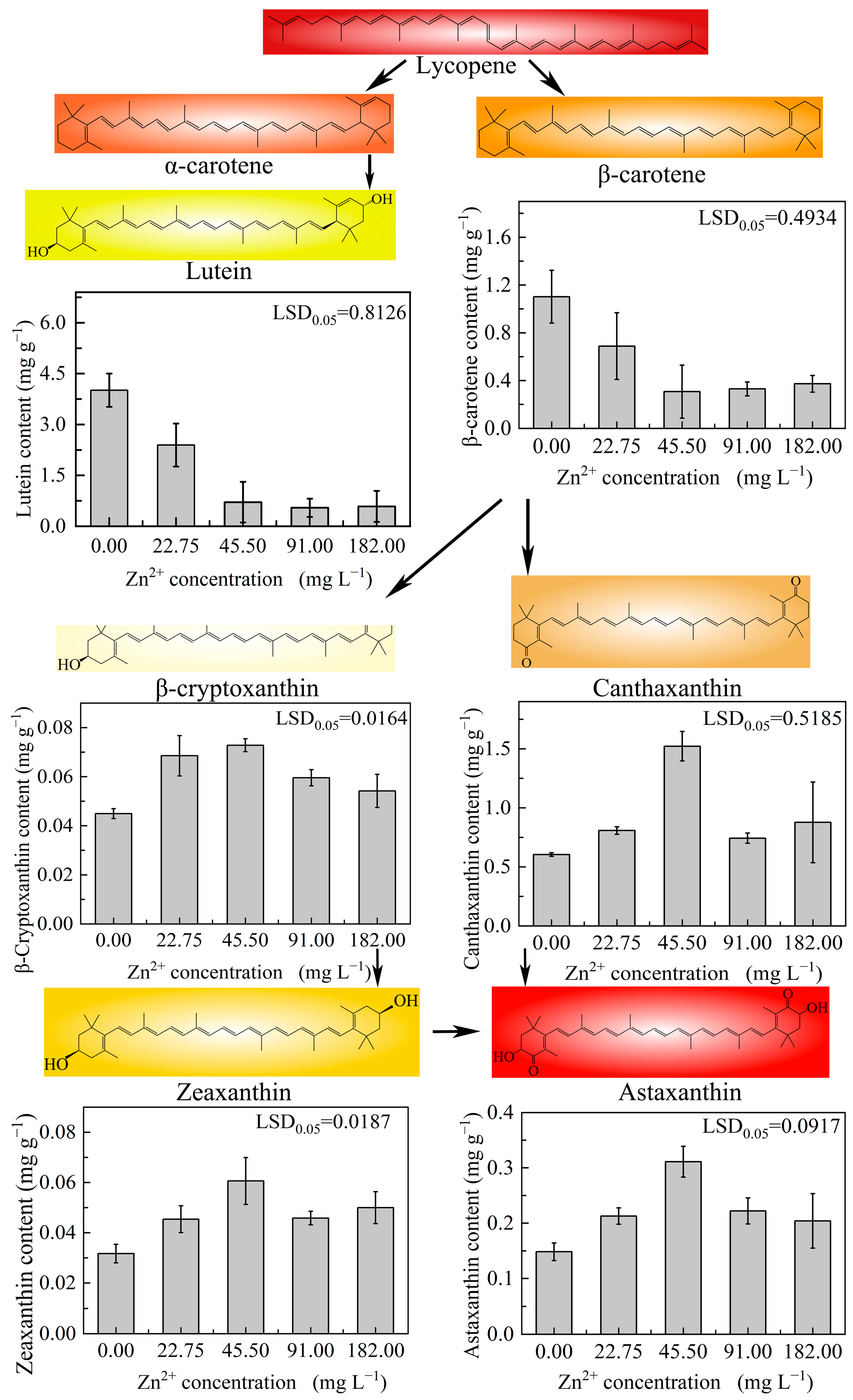 Plants 13 03338 g007
