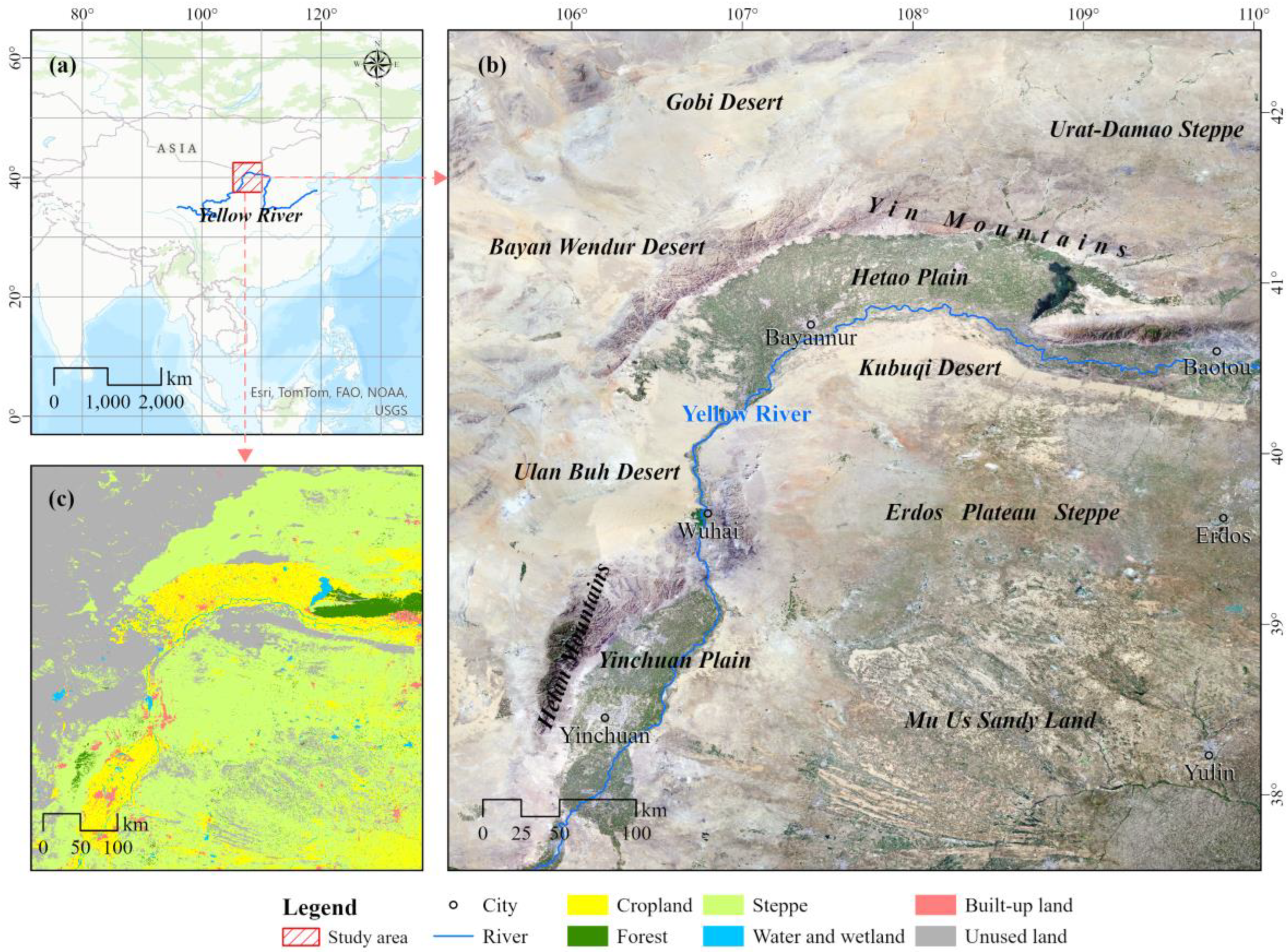 Plants 13 03341 g009