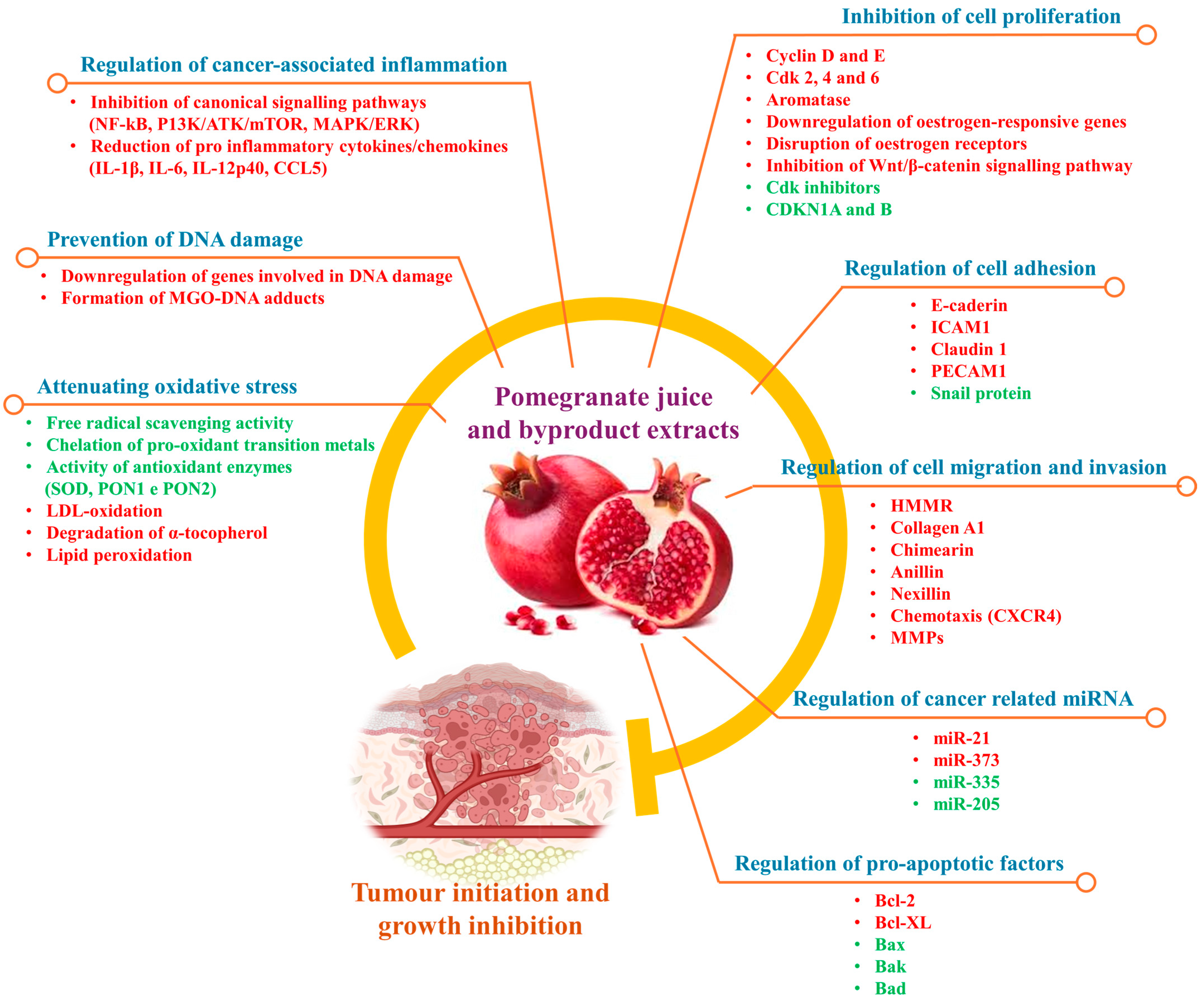 Plants 13 03350 g002