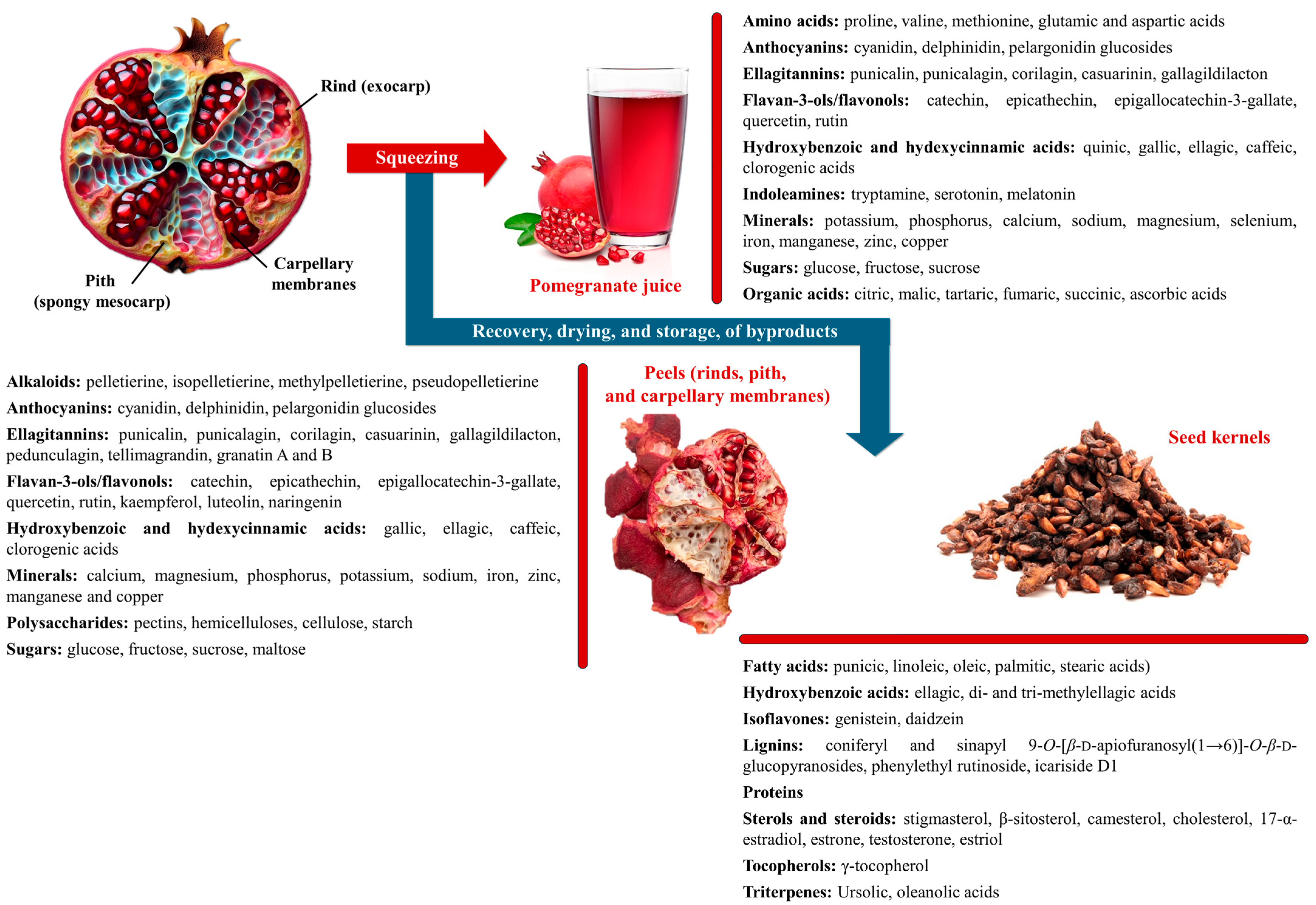 Plants 13 03350 g003