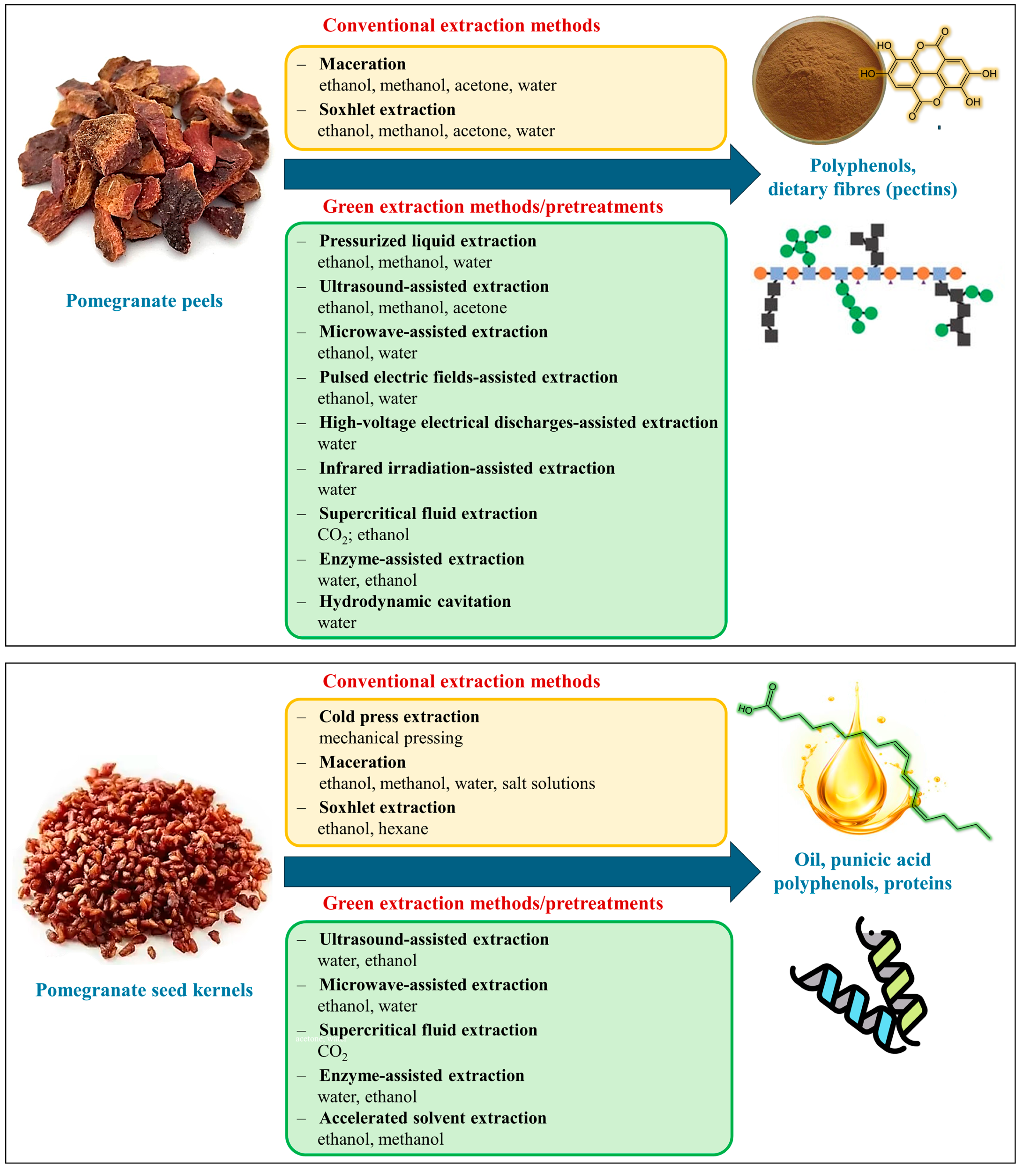 Plants 13 03350 g004