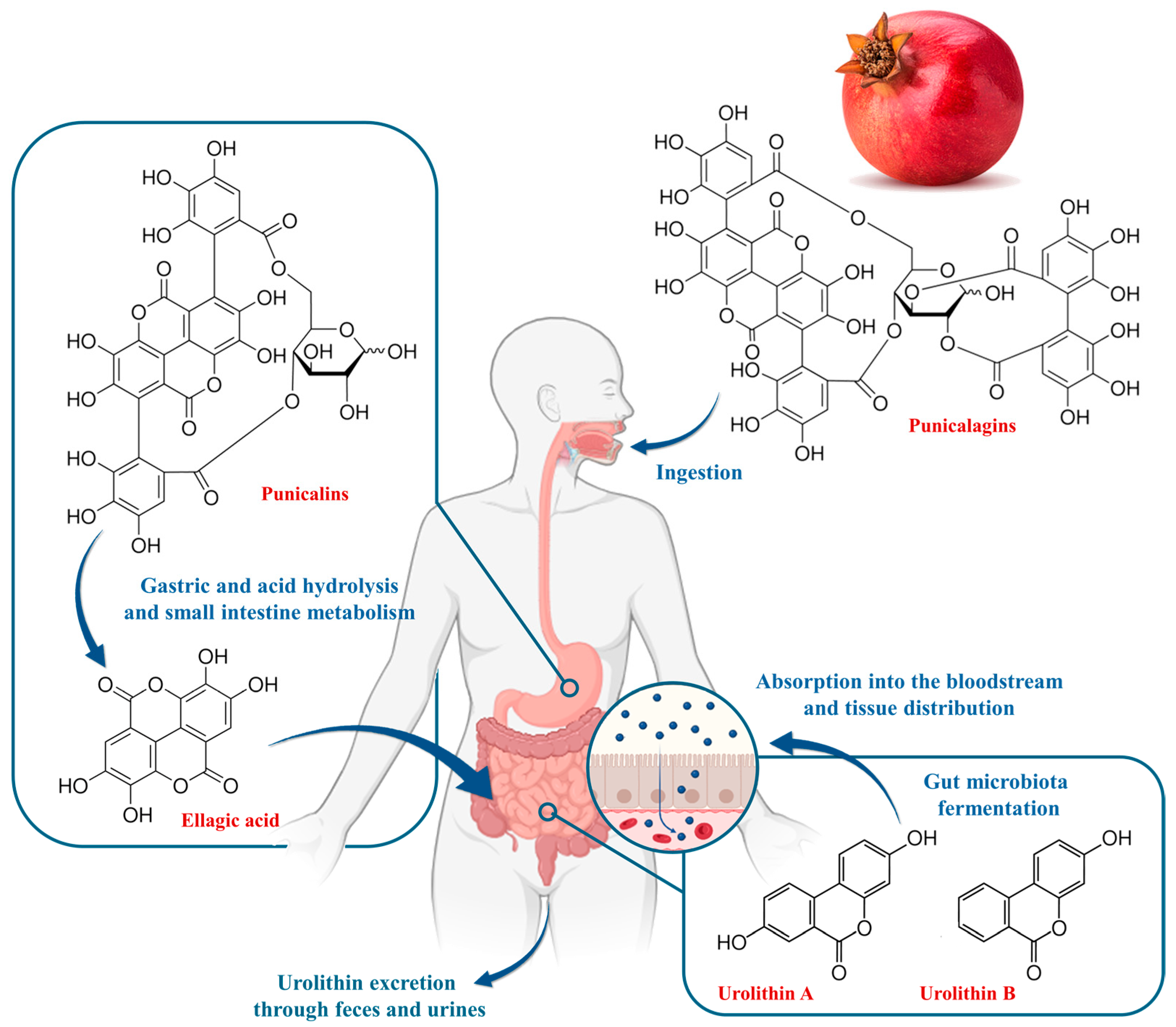 Plants 13 03350 g005