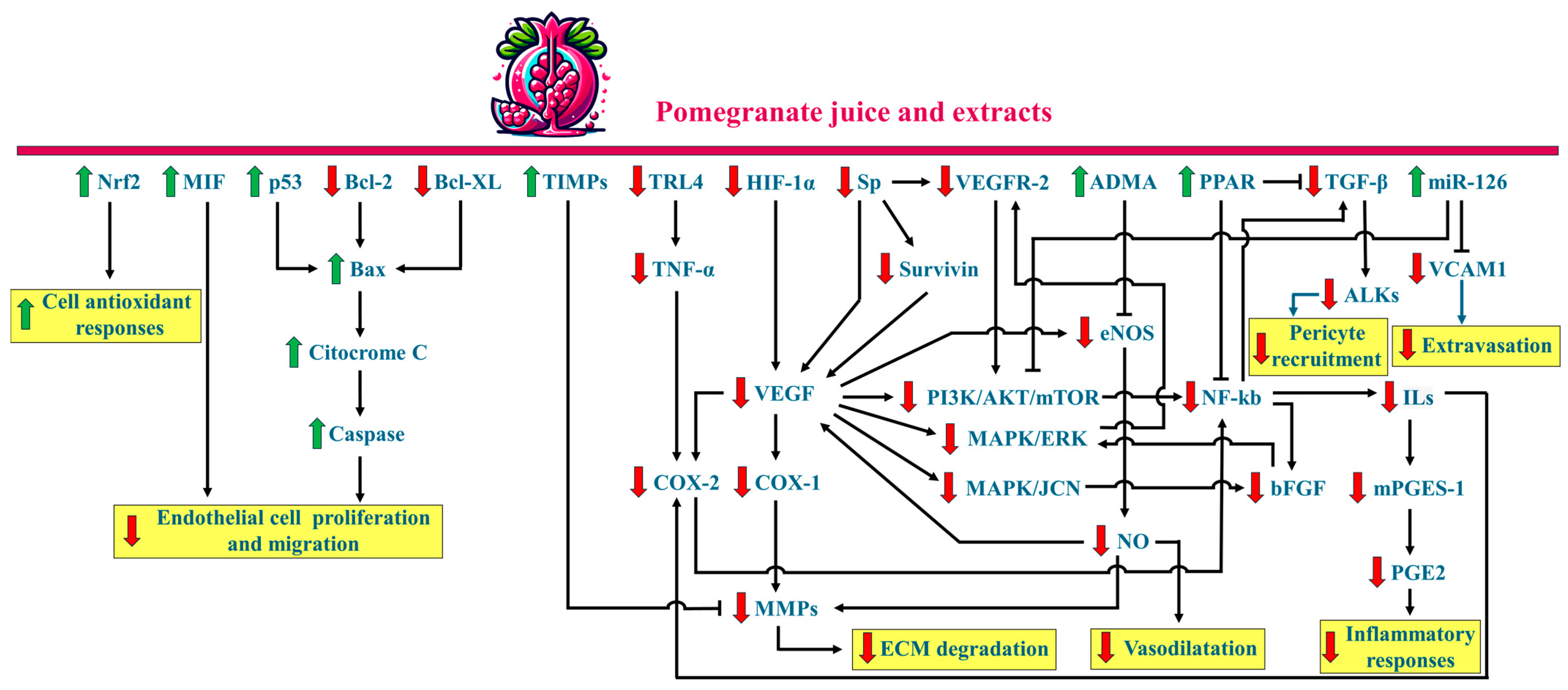 Plants 13 03350 g006