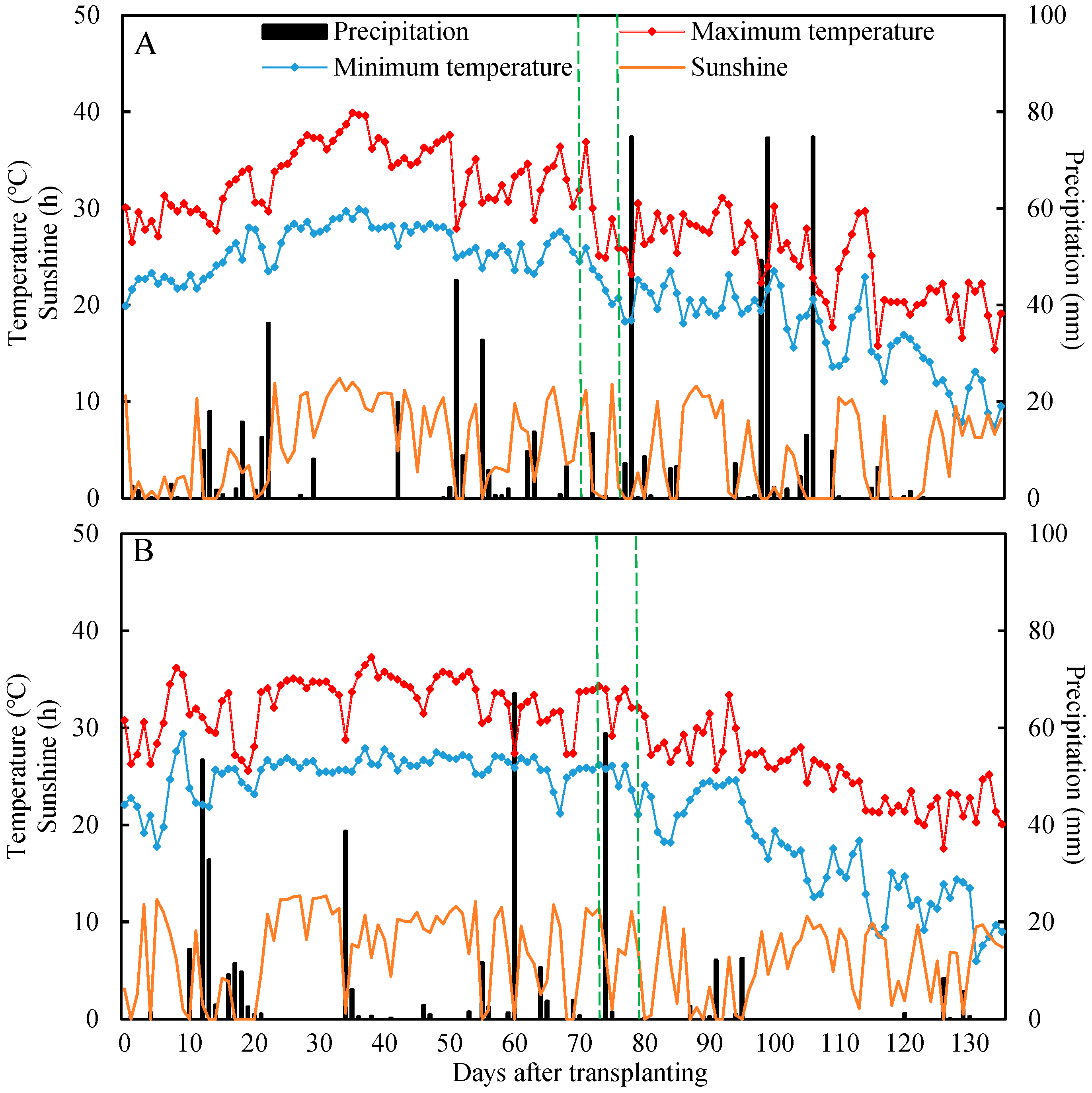 Plants 13 03351 g003