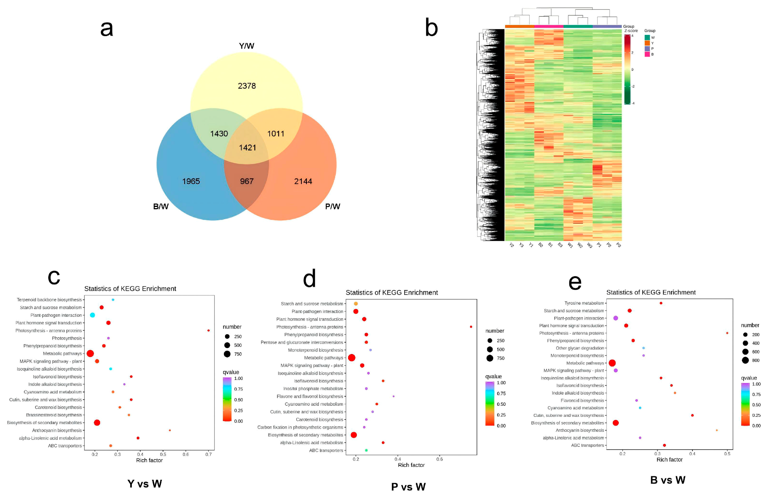 Plants 13 03353 g003