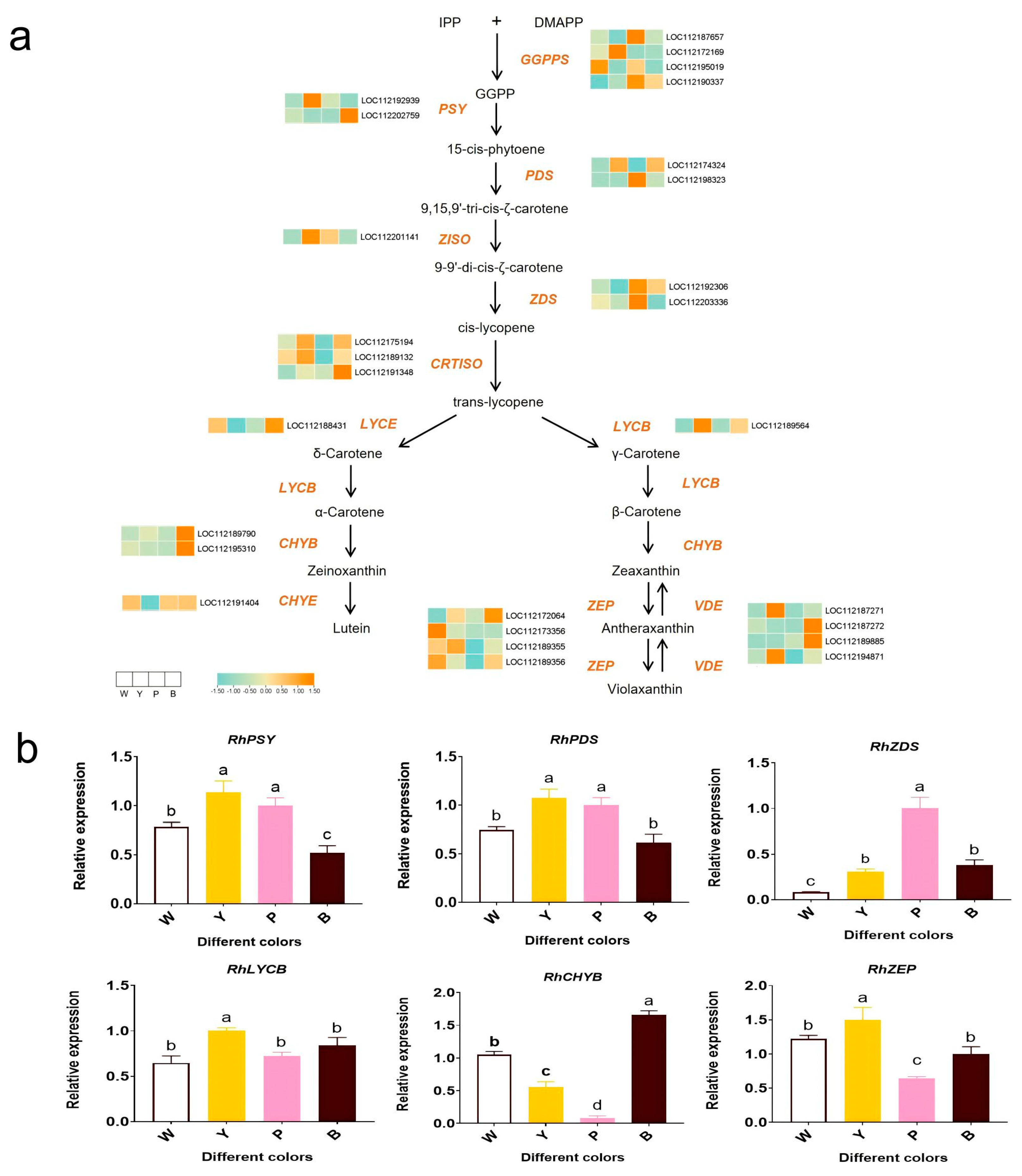 Plants 13 03353 g005