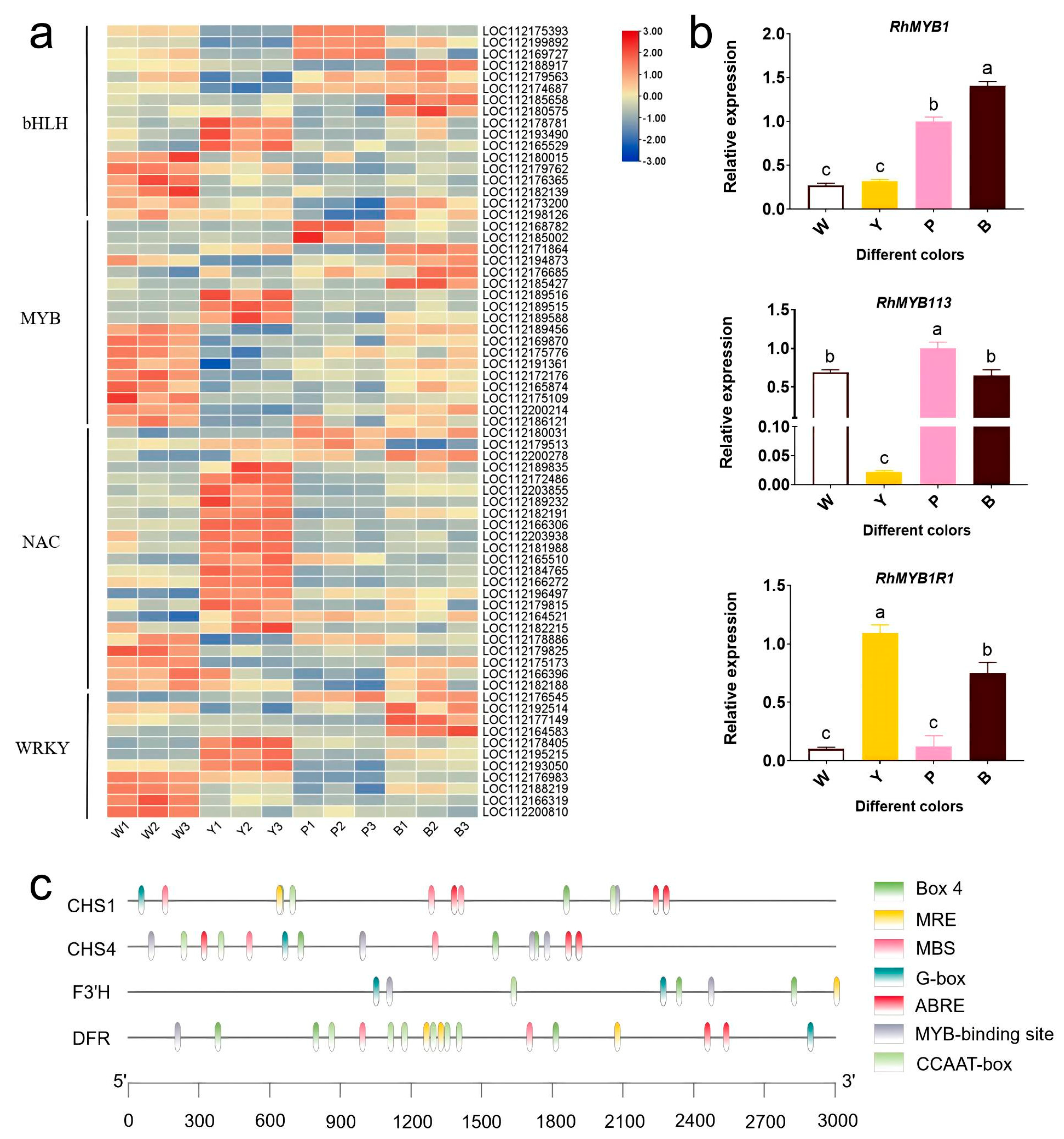Plants 13 03353 g006